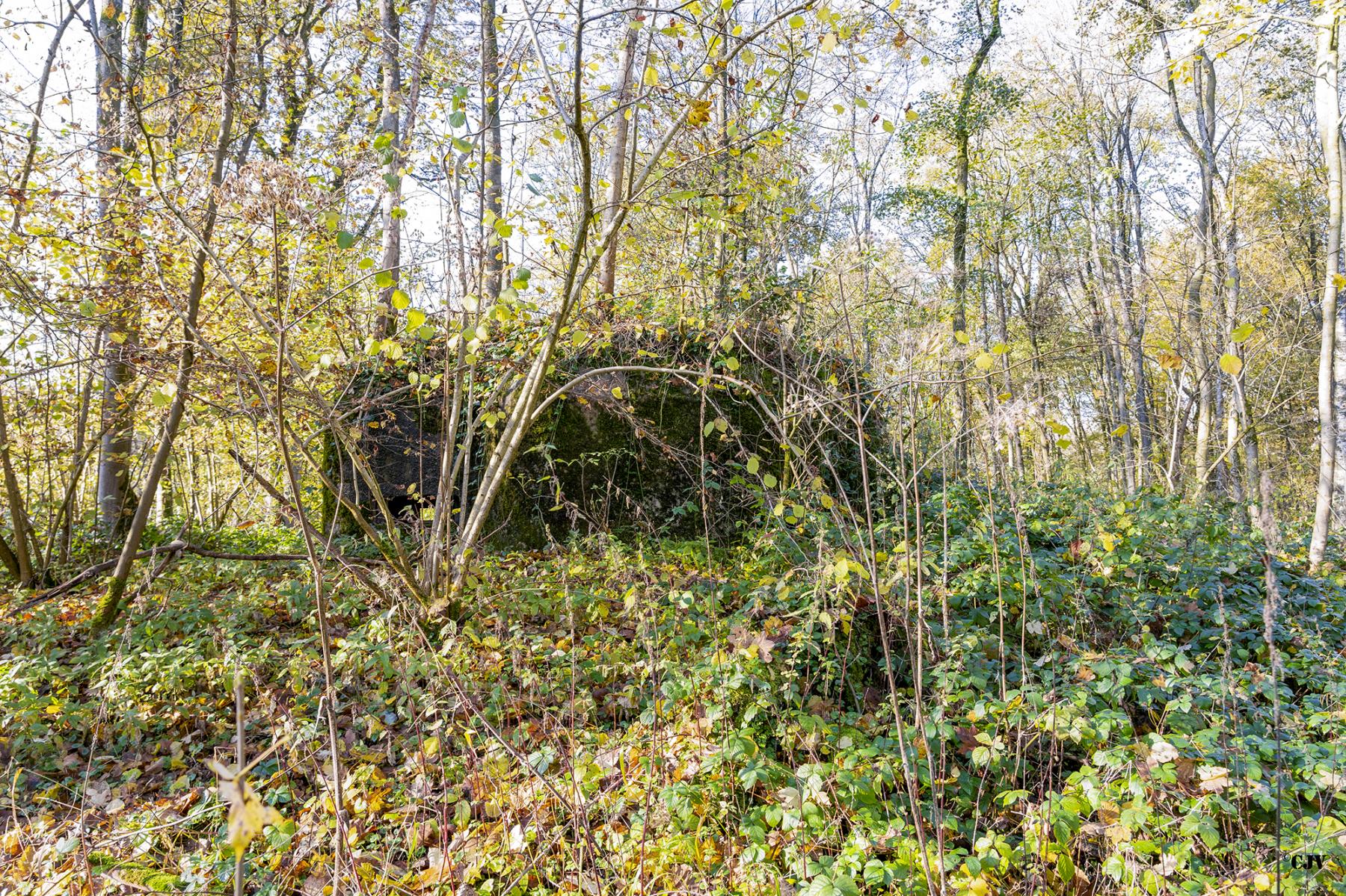 Ligne Maginot - B594 - BOIS DES LANIERES 6 - (Blockhaus pour canon) -  - Lia VERMEULEN