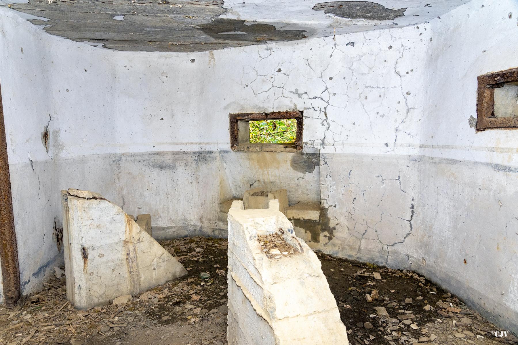 Ligne Maginot - B594 - BOIS DES LANIERES 6 - (Blockhaus pour canon) -  - Lia VERMEULEN
