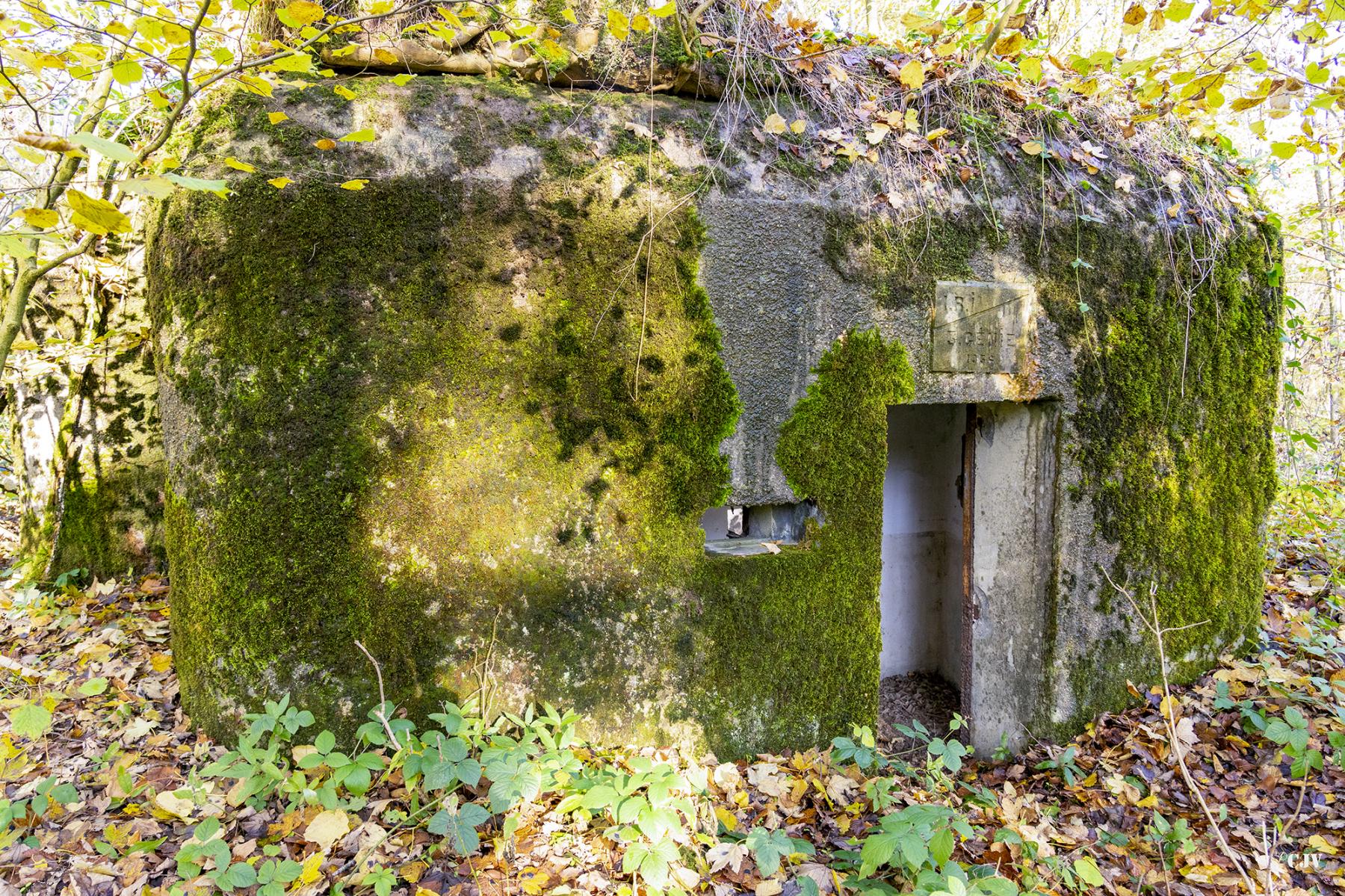 Ligne Maginot - B594 - BOIS DES LANIERES 6 - (Blockhaus pour canon) -  - Lia VERMEULEN