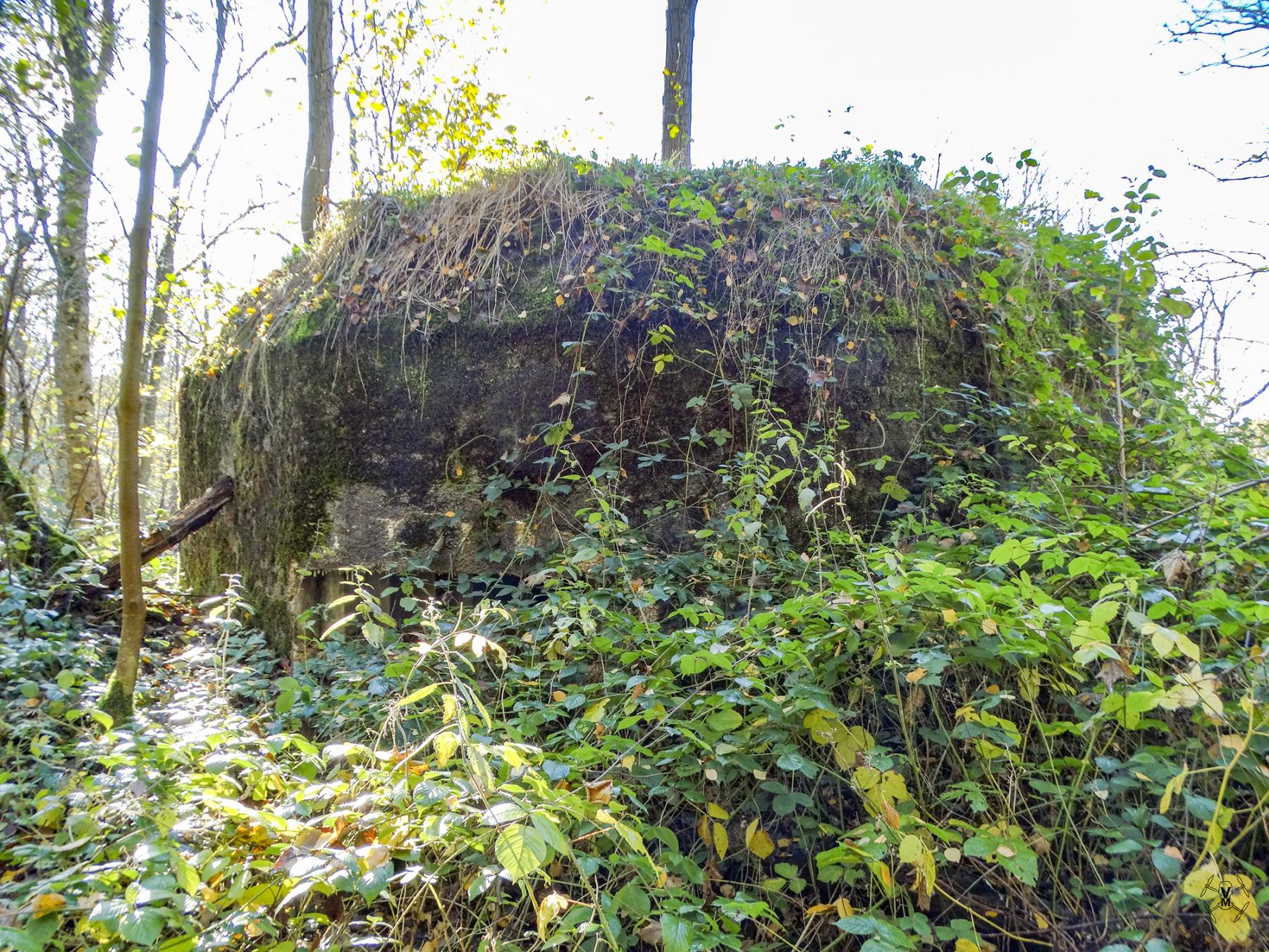 Ligne Maginot - B595 - BOIS DES LANIERES 7 - (Blockhaus pour canon) -  - V Vermeulen