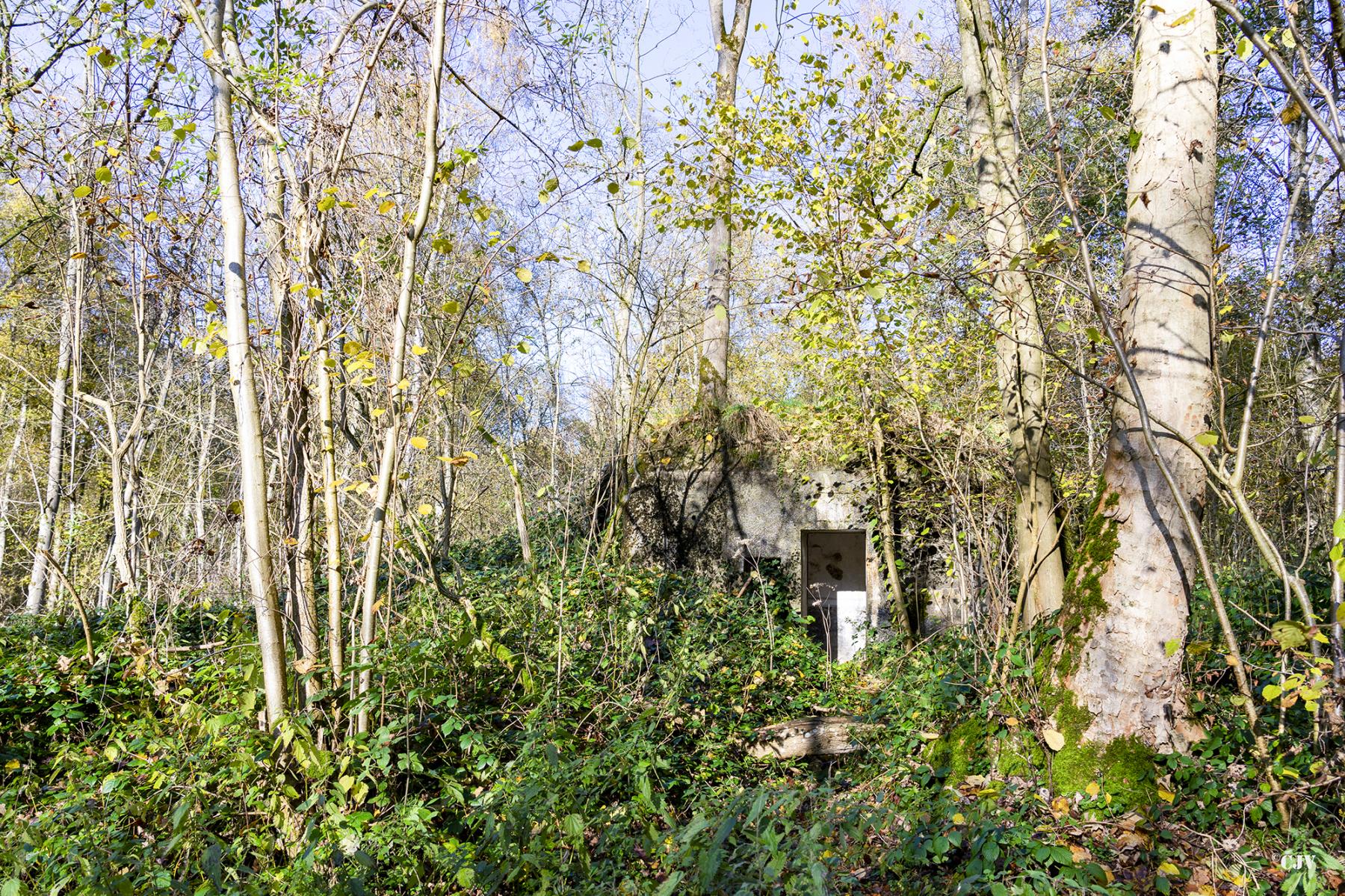 Ligne Maginot - B595 - BOIS DES LANIERES 7 - (Blockhaus pour canon) -  - Lia VERMEULEN