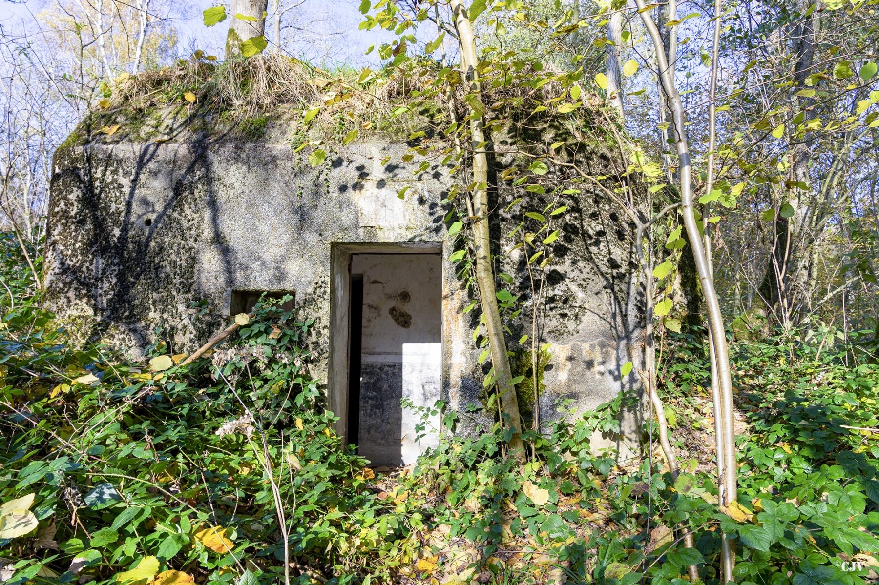 Ligne Maginot - B595 - BOIS DES LANIERES 7 - (Blockhaus pour canon) -  - Lia VERMEULEN