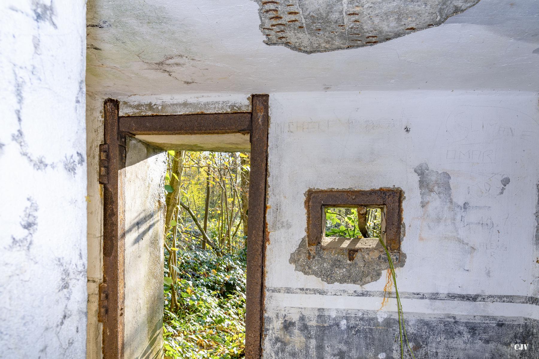 Ligne Maginot - B595 - BOIS DES LANIERES 7 - (Blockhaus pour canon) -  - Lia VERMEULEN