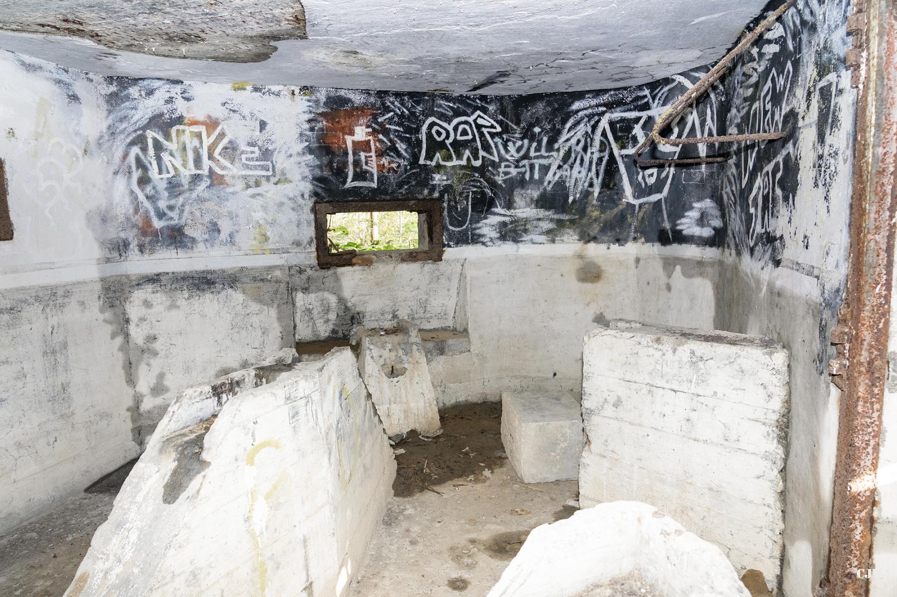 Ligne Maginot - B595 - BOIS DES LANIERES 7 - (Blockhaus pour canon) -  - Lia VERMEULEN