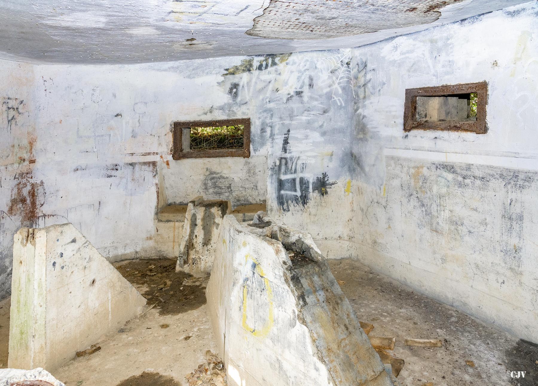 Ligne Maginot - B595 - BOIS DES LANIERES 7 - (Blockhaus pour canon) -  - Lia VERMEULEN