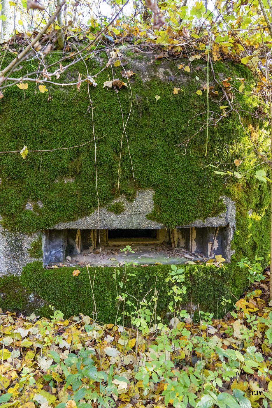 Ligne Maginot - B596 - BOIS DES LANIERES 8 - (Blockhaus pour canon) -  - Lia VERMEULEN