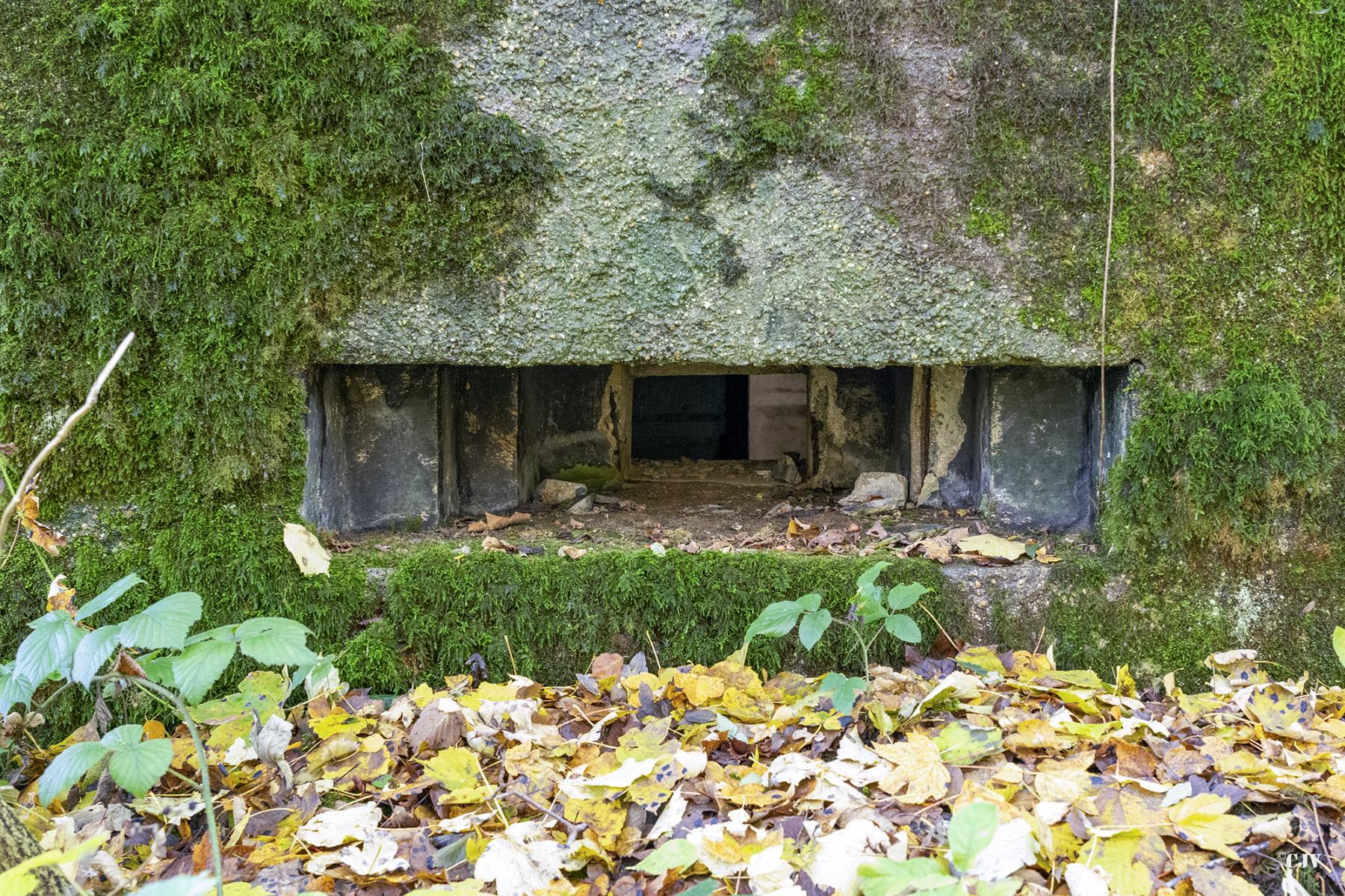 Ligne Maginot - B596 - BOIS DES LANIERES 8 - (Blockhaus pour canon) -  - Lia VERMEULEN