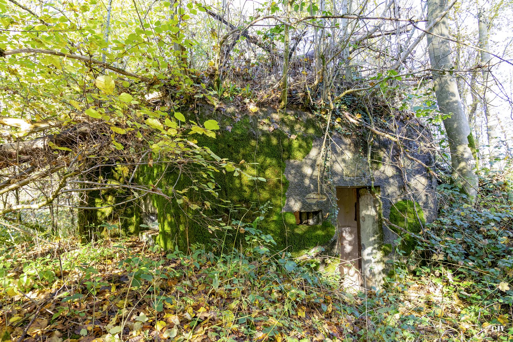 Ligne Maginot - B596 - BOIS DES LANIERES 8 - (Blockhaus pour canon) -  - Lia VERMEULEN