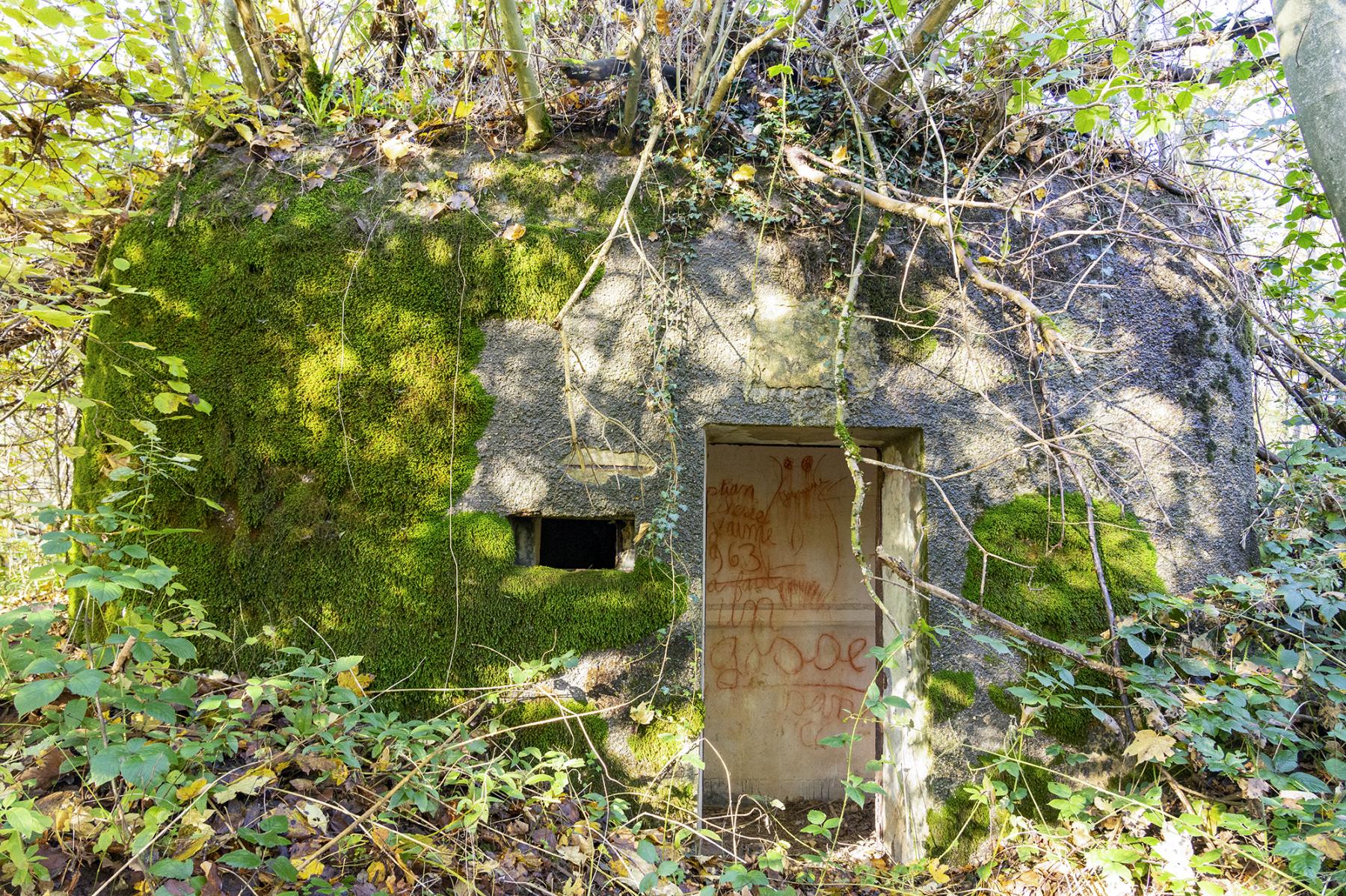 Ligne Maginot - B596 - BOIS DES LANIERES 8 - (Blockhaus pour canon) -  - Lia VERMEULEN
