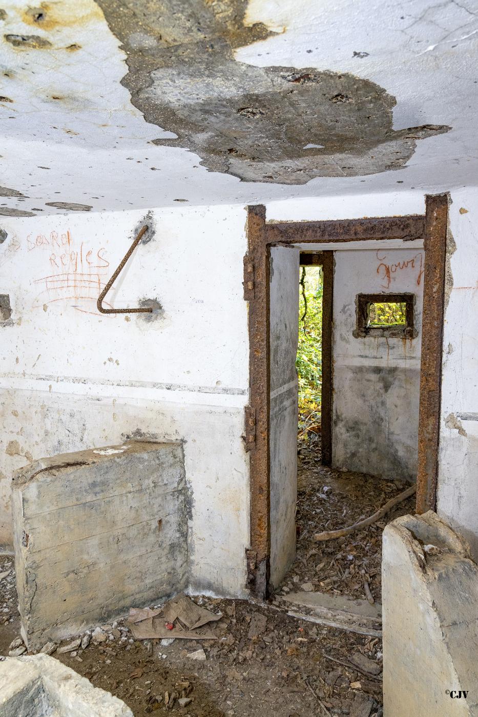 Ligne Maginot - B596 - BOIS DES LANIERES 8 - (Blockhaus pour canon) -  - Lia VERMEULEN