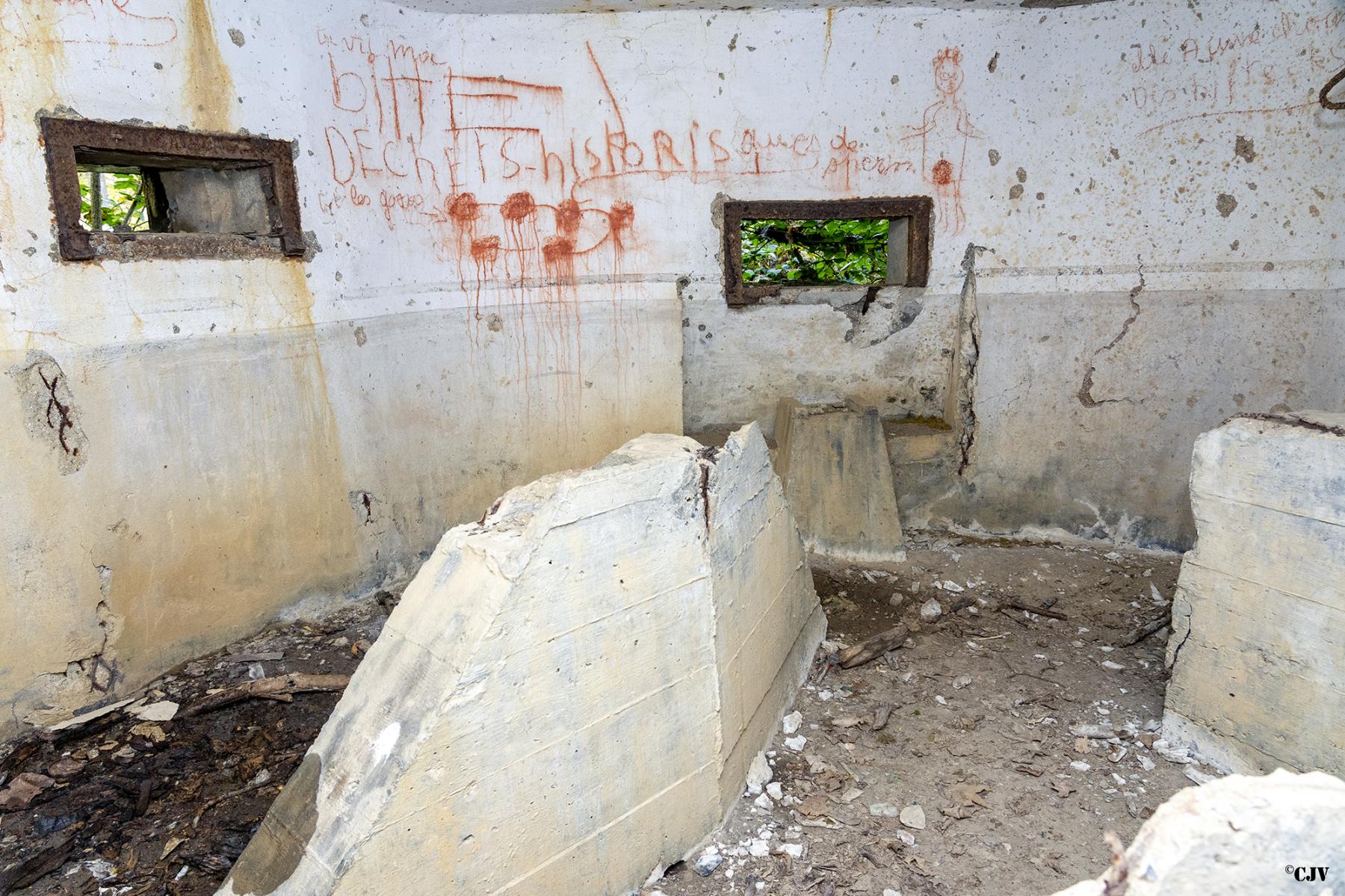 Ligne Maginot - B596 - BOIS DES LANIERES 8 - (Blockhaus pour canon) -  - Lia VERMEULEN