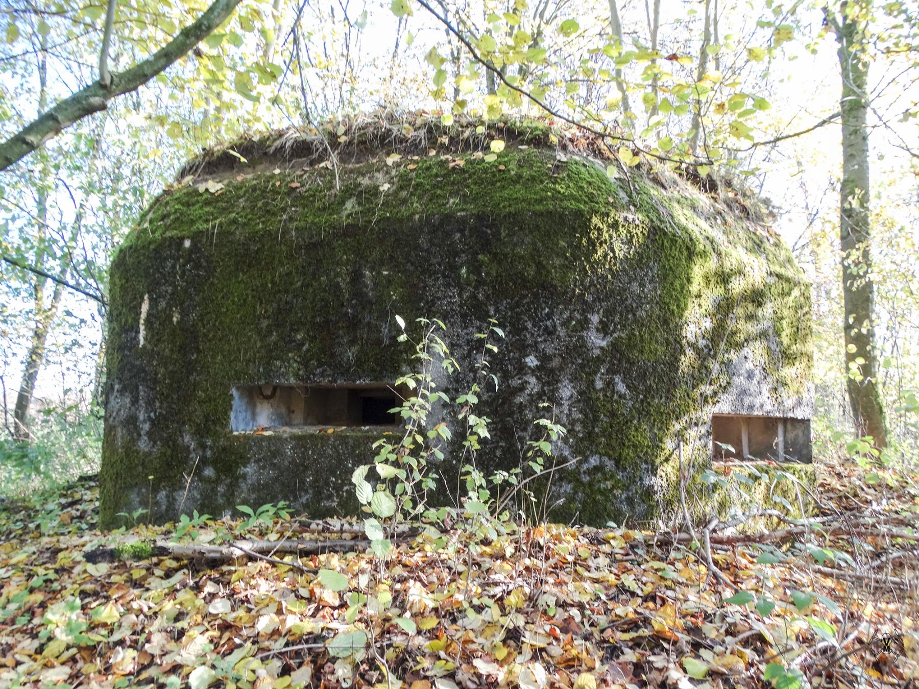 Ligne Maginot - B597 - BOIS DES LANIERES 9 - (Blockhaus pour canon) -  - V Vermeulen
