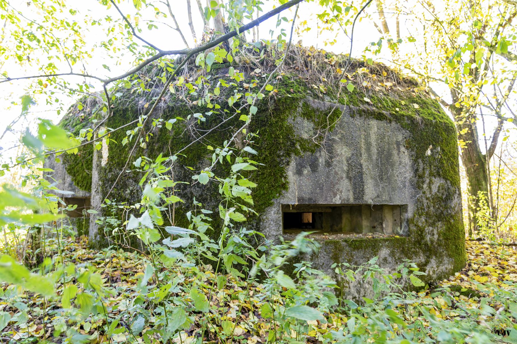 Ligne Maginot - B597 - BOIS DES LANIERES 9 - (Blockhaus pour canon) -  - Lia VERMEULEN