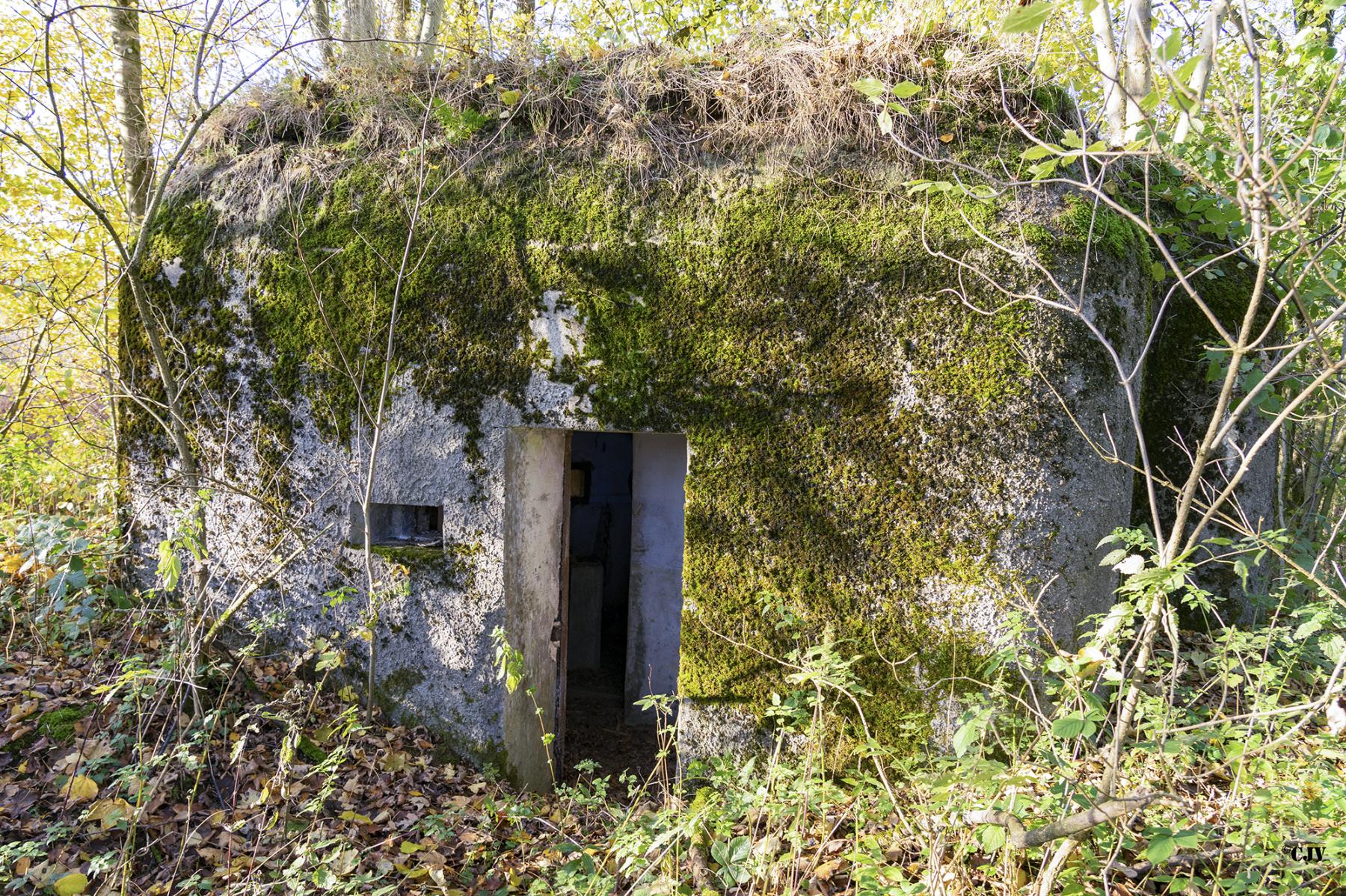 Ligne Maginot - B597 - BOIS DES LANIERES 9 - (Blockhaus pour canon) -  - Lia VERMEULEN
