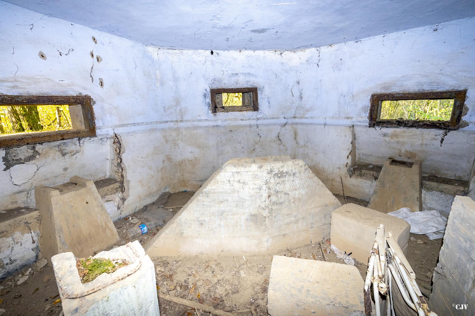 Ligne Maginot - B597 - BOIS DES LANIERES 9 - (Blockhaus pour canon) -  - Lia VERMEULEN