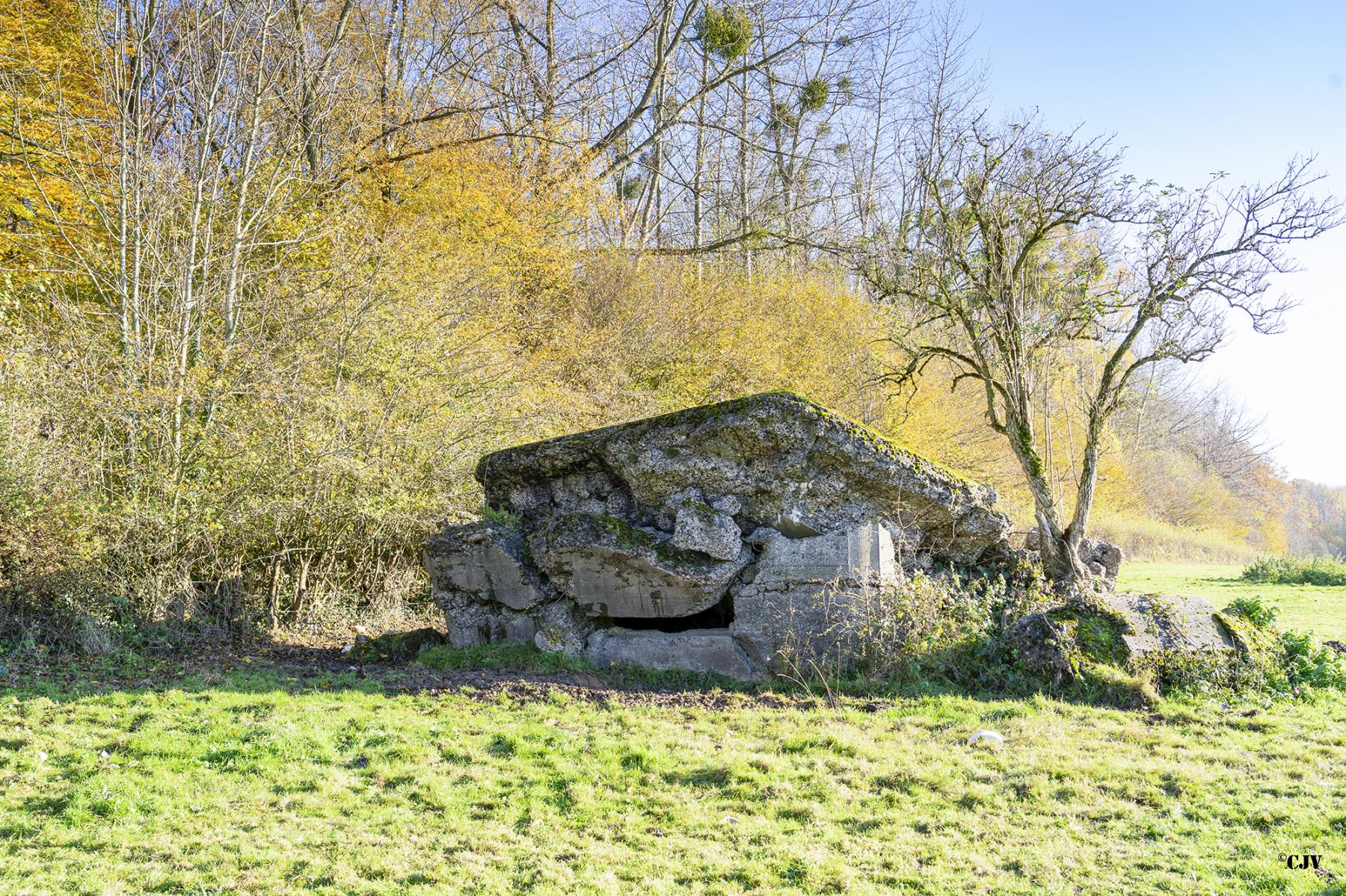 Ligne Maginot - B598 - CORON D'AMOUR - (Blockhaus pour canon) -  - Lia VERMEULEN