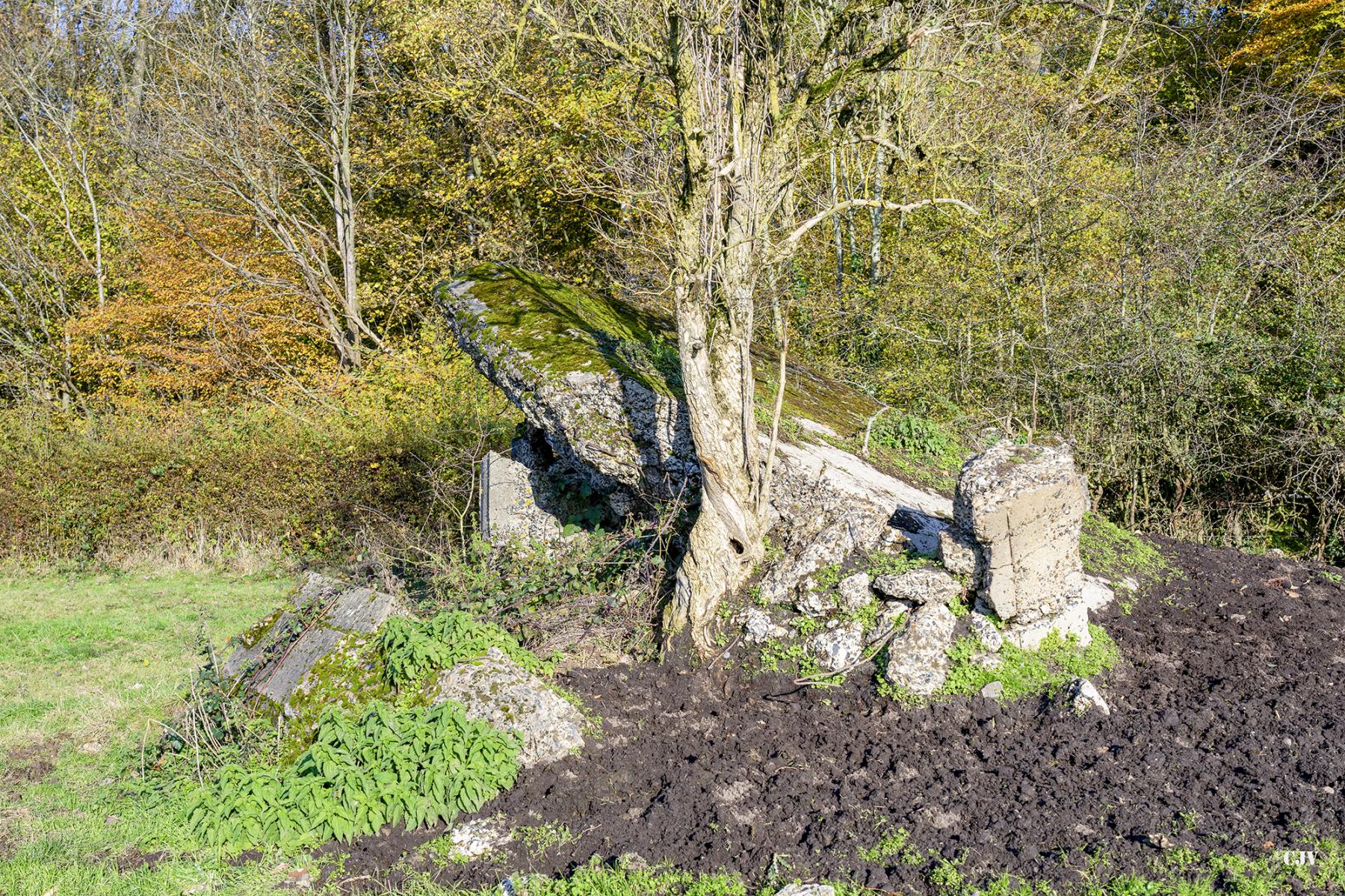 Ligne Maginot - B598 - CORON D'AMOUR - (Blockhaus pour canon) -  - Lia VERMEULEN