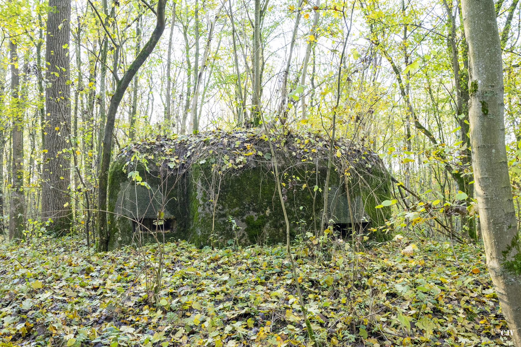 Ligne Maginot - B599 - BOIS DES ECOLIERS OUEST - (Blockhaus pour canon) -  - Lia VERMEULEN