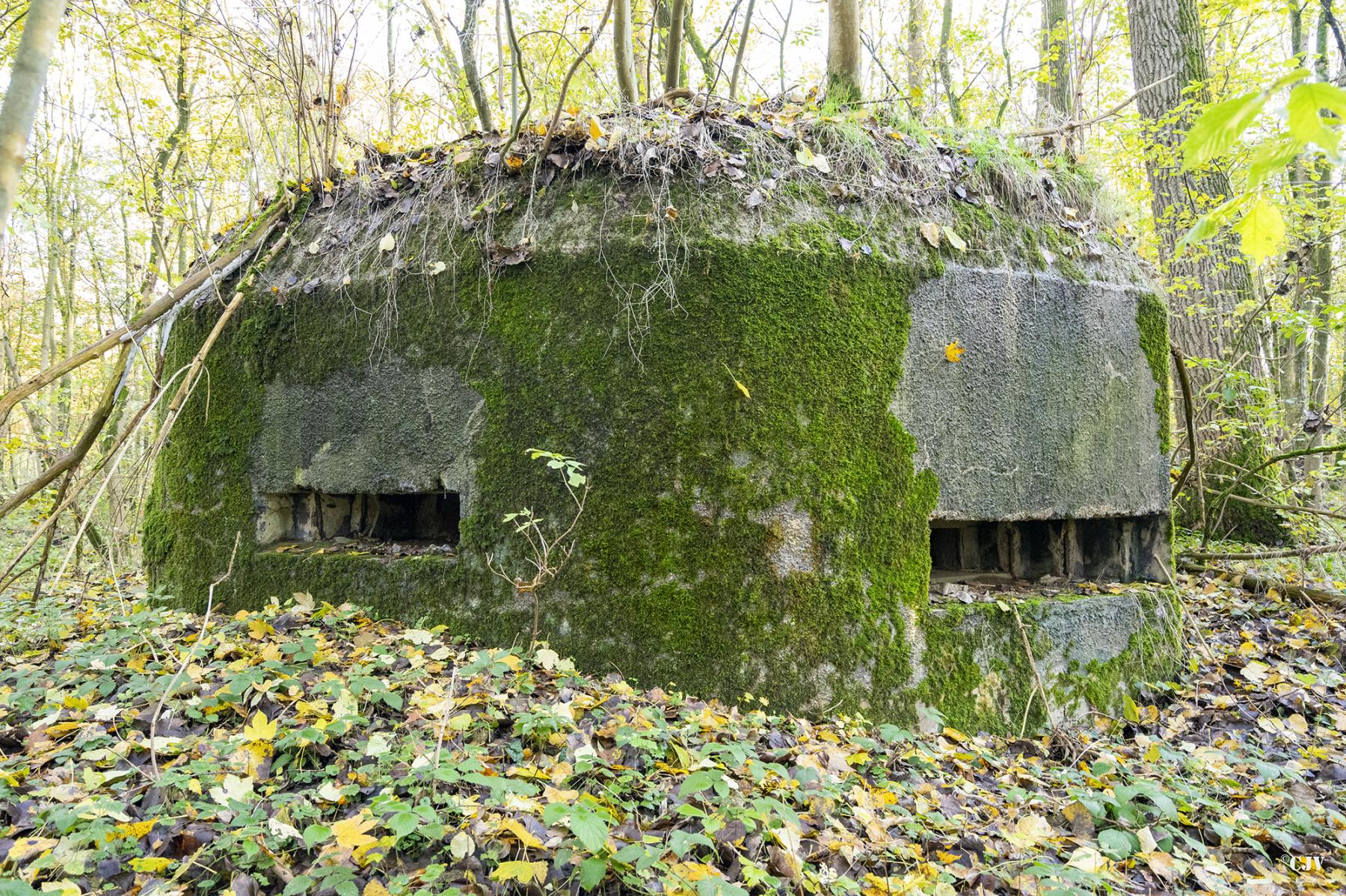 Ligne Maginot - B599 - BOIS DES ECOLIERS OUEST - (Blockhaus pour canon) -  - Lia VERMEULEN