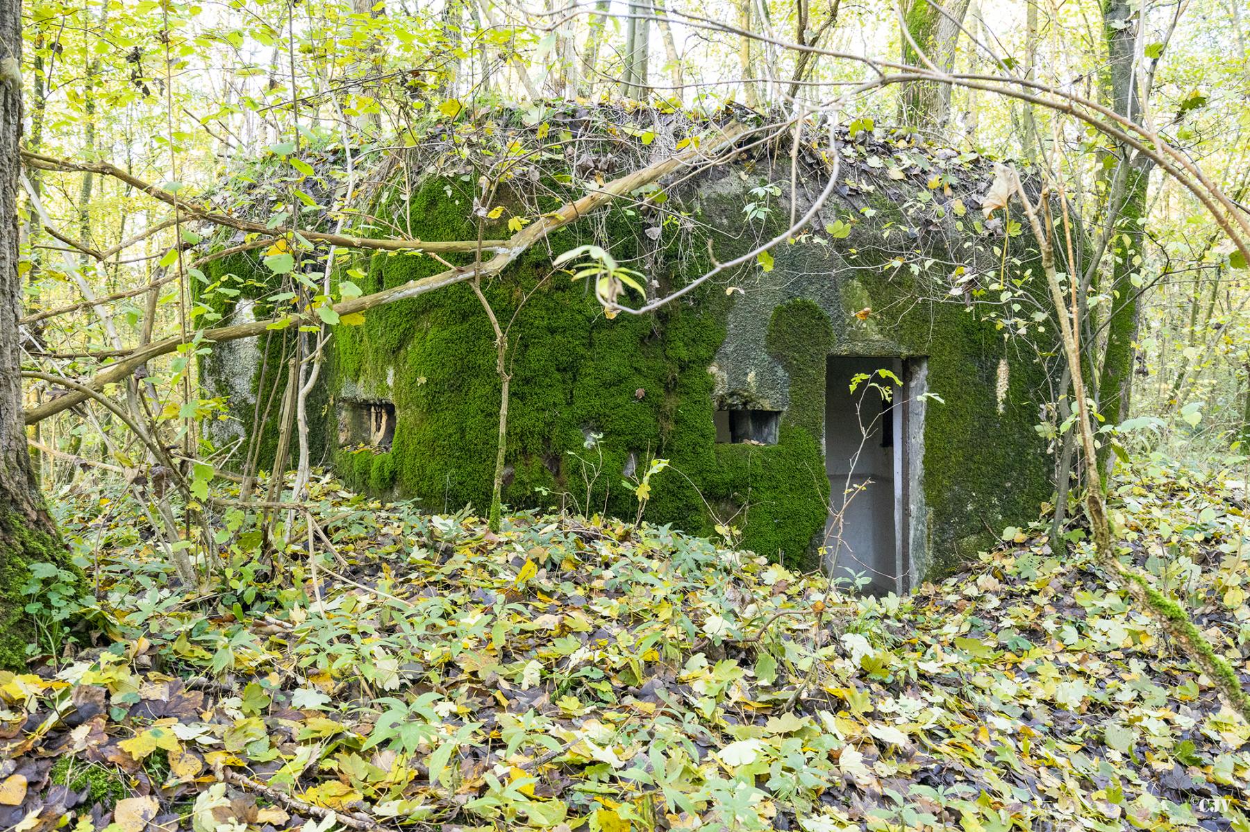 Ligne Maginot - B599 - BOIS DES ECOLIERS OUEST - (Blockhaus pour canon) -  - Lia VERMEULEN