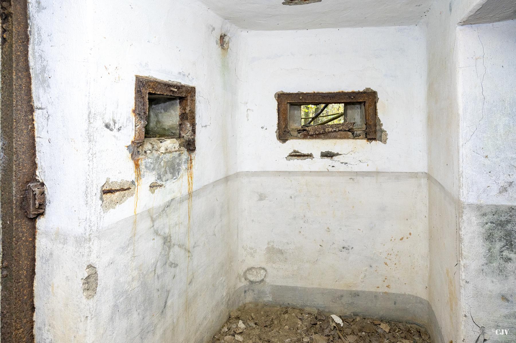 Ligne Maginot - B599 - BOIS DES ECOLIERS OUEST - (Blockhaus pour canon) -  - Lia VERMEULEN