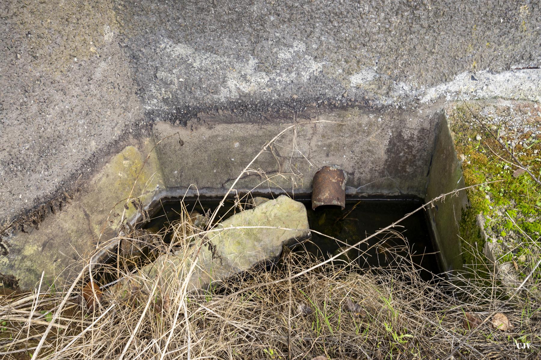 Ligne Maginot - B600 - BOIS DES ECOLIERS EST - (Blockhaus pour canon) - Le fossé pour les douilles - Lia VERMEULEN