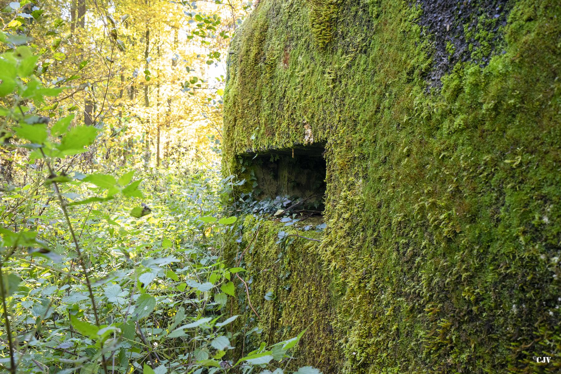 Ligne Maginot - GODELOT - (Blockhaus pour arme infanterie) - Créneau - Lia VERMEULEN