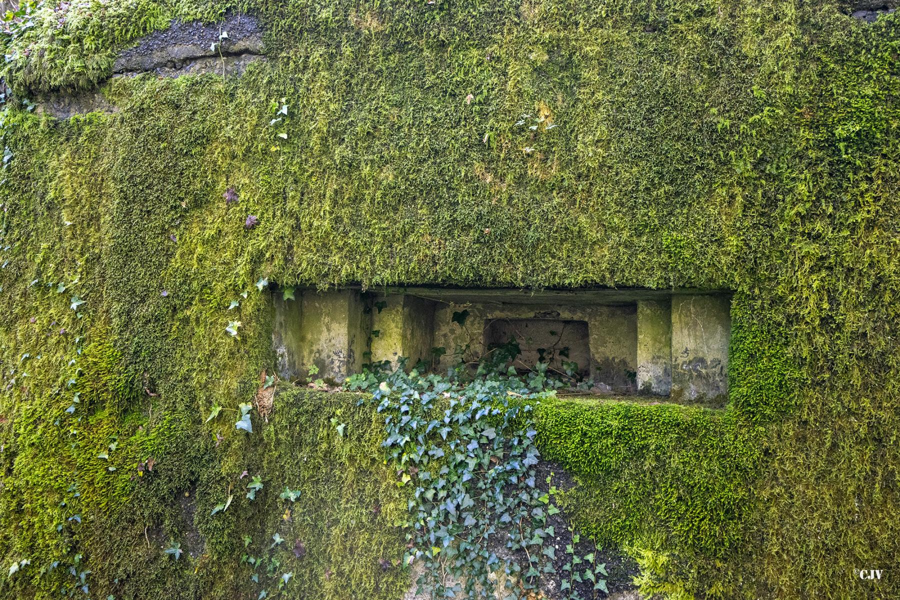 Ligne Maginot - GODELOT - (Blockhaus pour arme infanterie) - Créneau - Lia VERMEULEN
