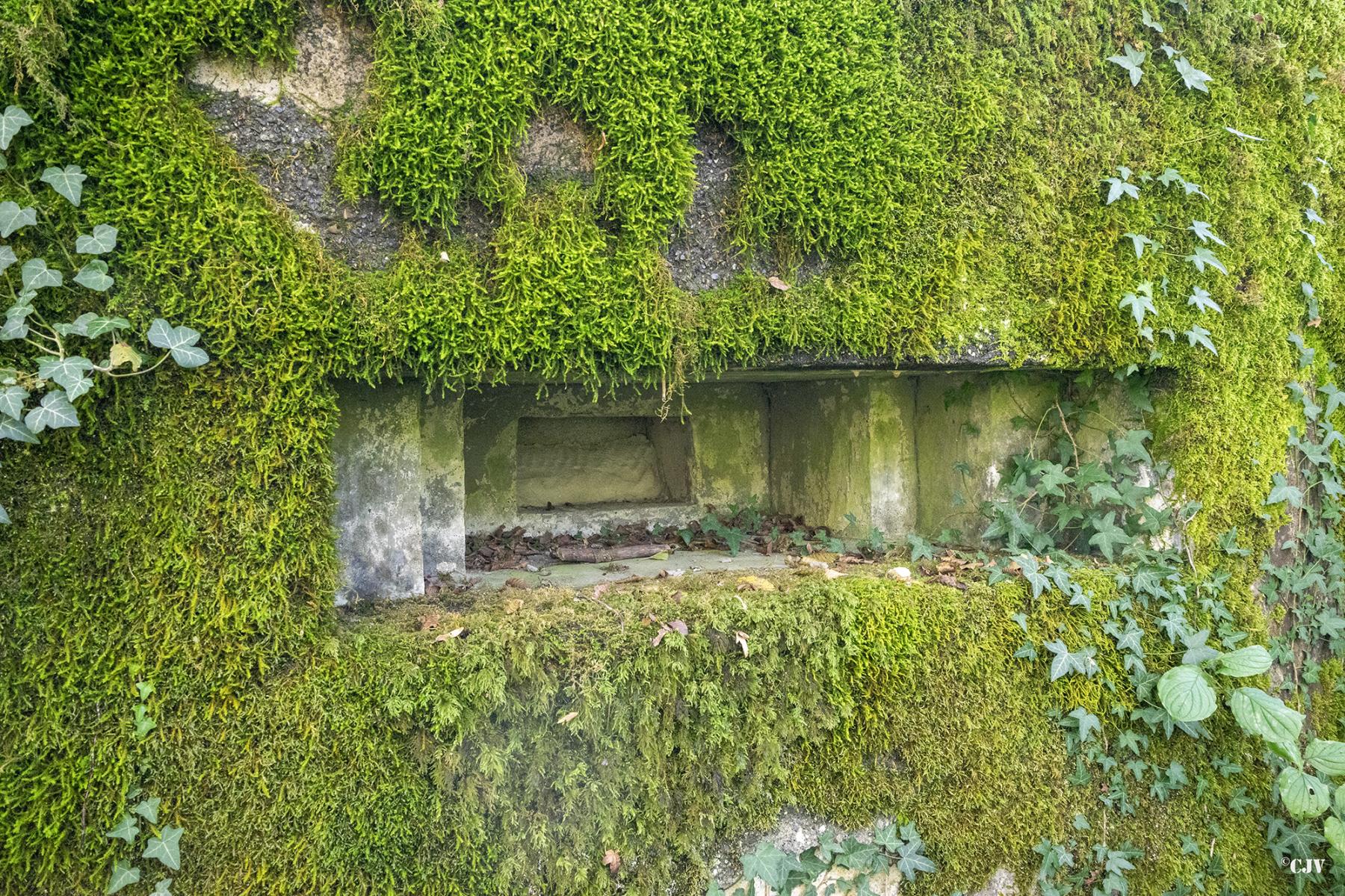 Ligne Maginot - GODELOT - (Blockhaus pour arme infanterie) - Créneau - Lia VERMEULEN