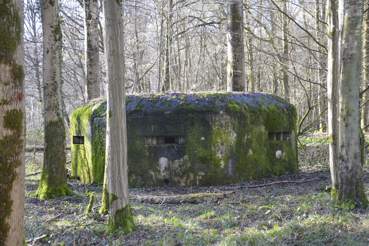Ligne Maginot - GODELOT - (Blockhaus pour arme infanterie) - Le blockhaus près du Carrefour de la Veuve dans le forêt de Mormal - Jean PISSON