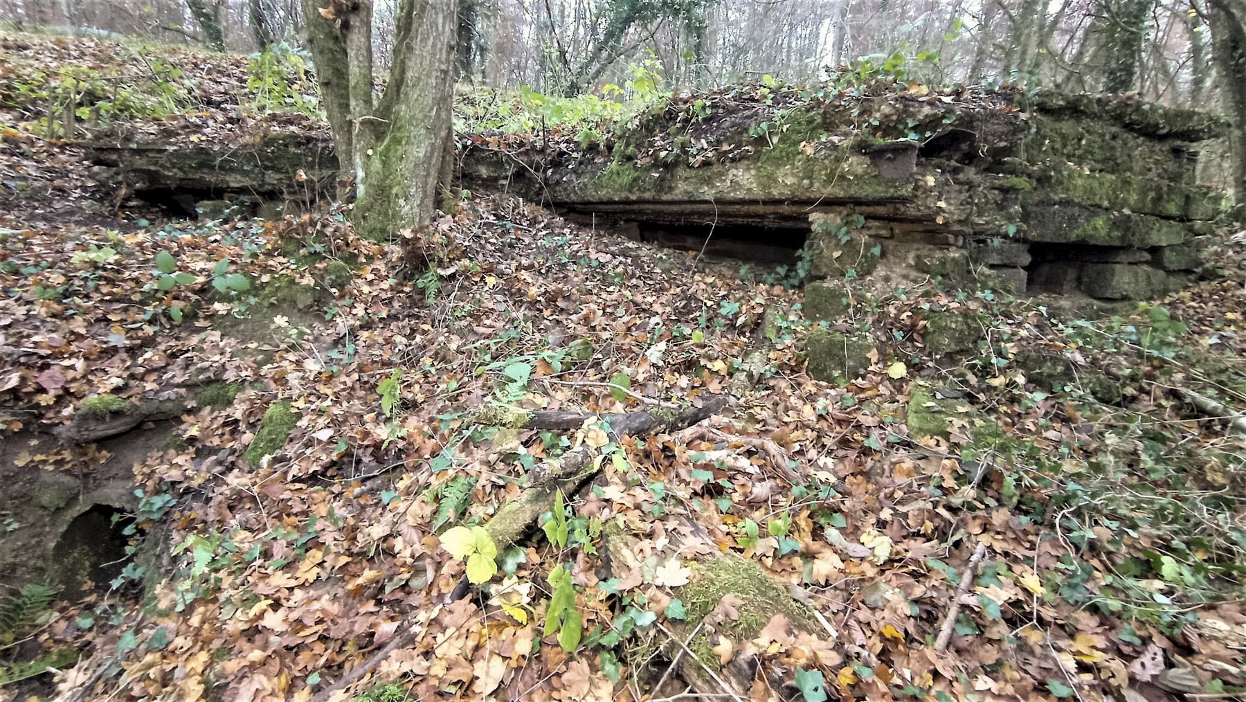 Ligne Maginot - VERLORENERBACH - (Blockhaus pour arme infanterie) - L'extérieur - Baptiste GAUDIN