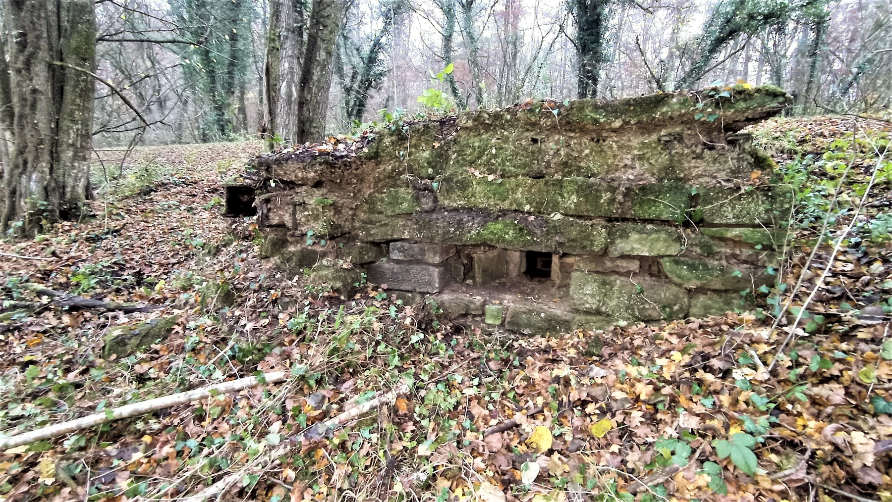 Ligne Maginot - VERLORENERBACH - (Blockhaus pour arme infanterie) - Créneau de défense rapprochée - Baptiste GAUDIN