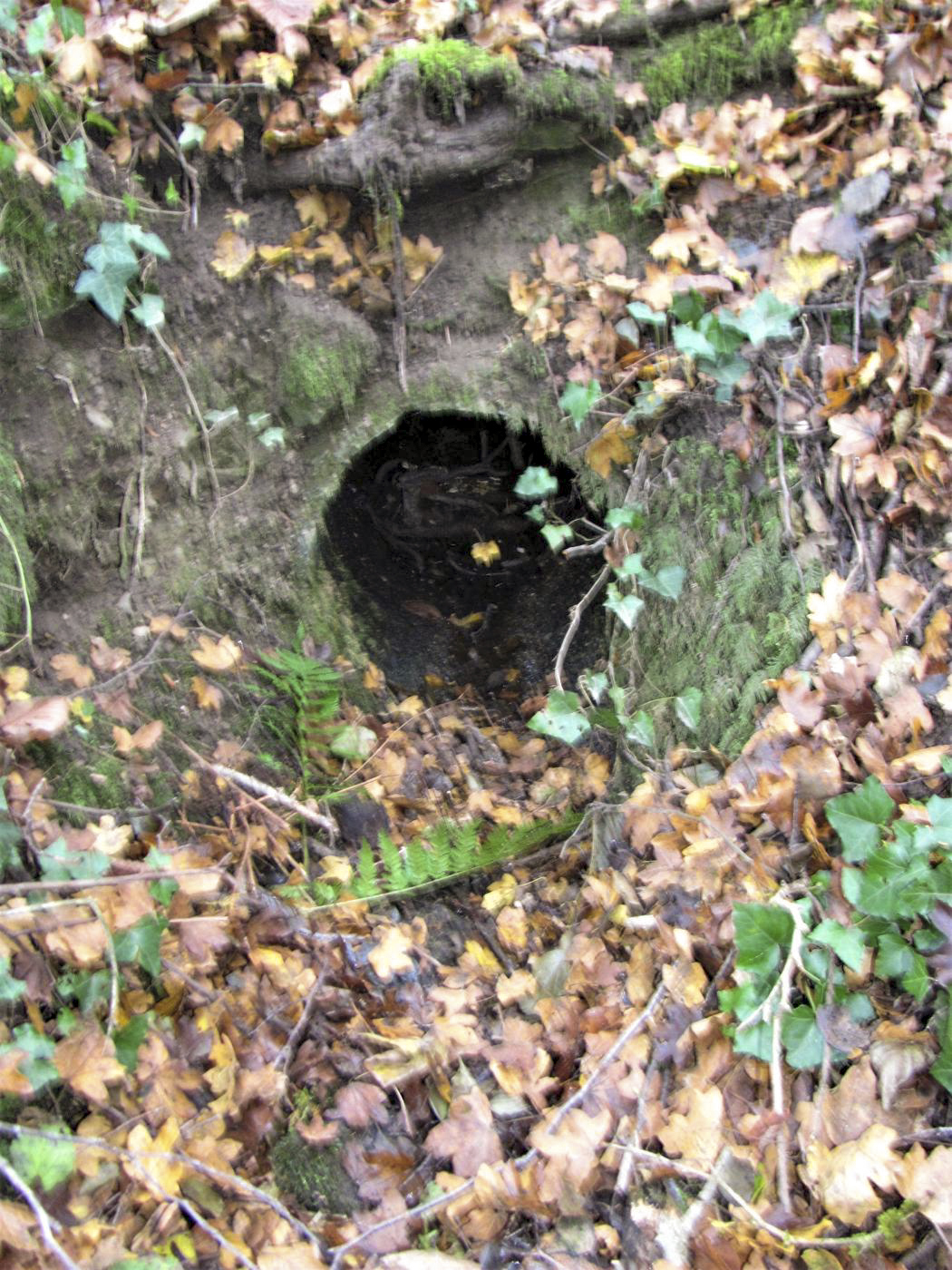 Ligne Maginot - VERLORENERBACH - (Blockhaus pour arme infanterie) - Buse d'évacuation des eaux - Baptiste GAUDIN