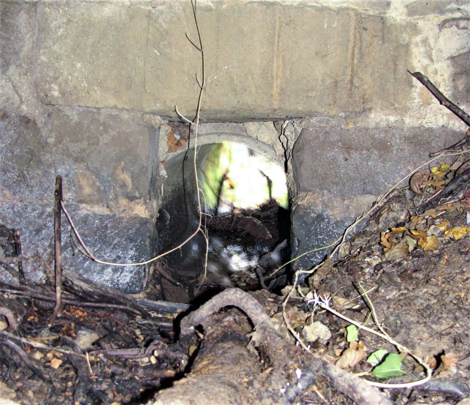 Ligne Maginot - VERLORENERBACH - (Blockhaus pour arme infanterie) - Buse d'évacuation des eaux - Baptiste GAUDIN