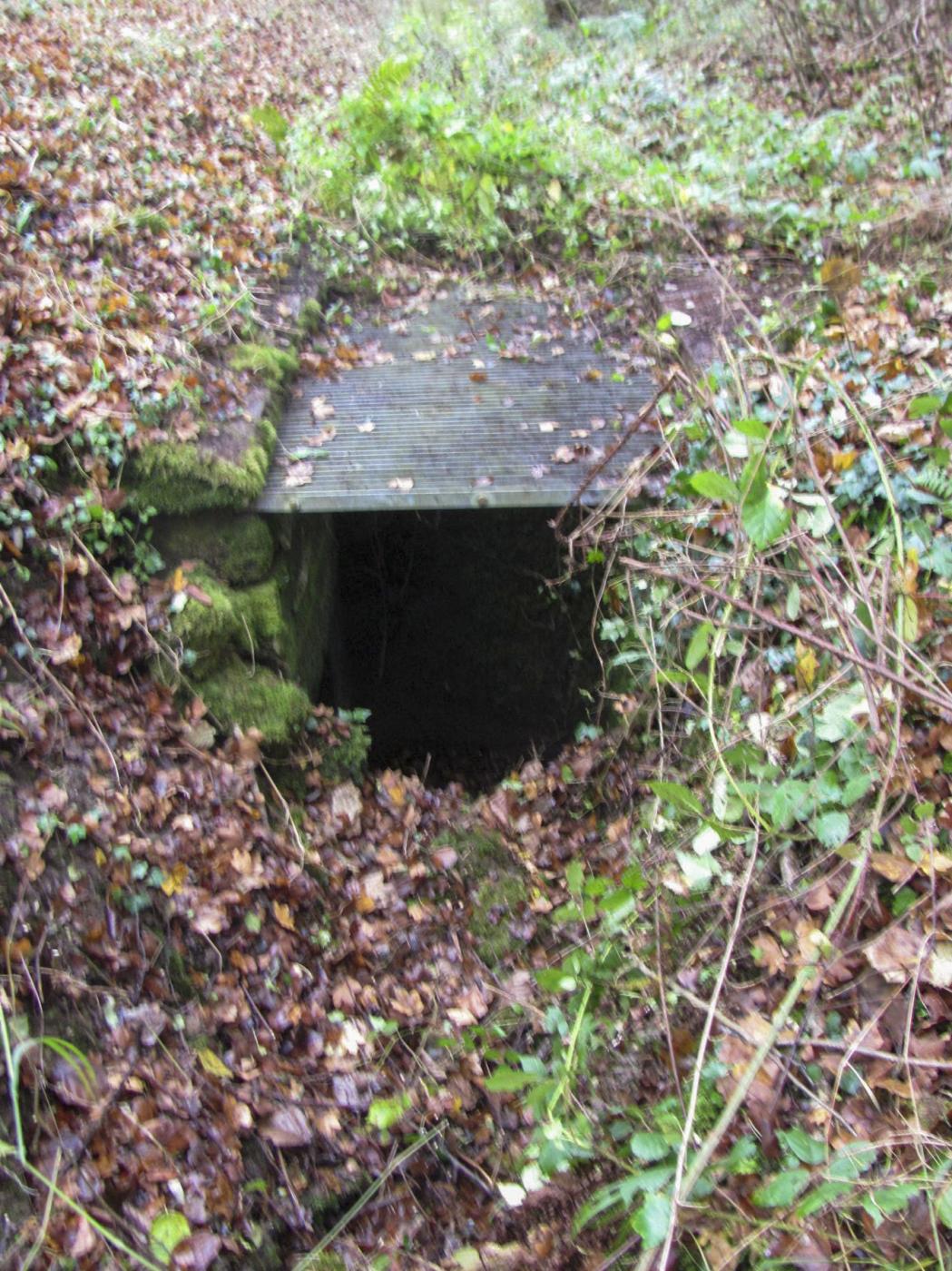 Ligne Maginot - VERLORENERBACH - (Blockhaus pour arme infanterie) - Entrée coté droit - Baptiste GAUDIN