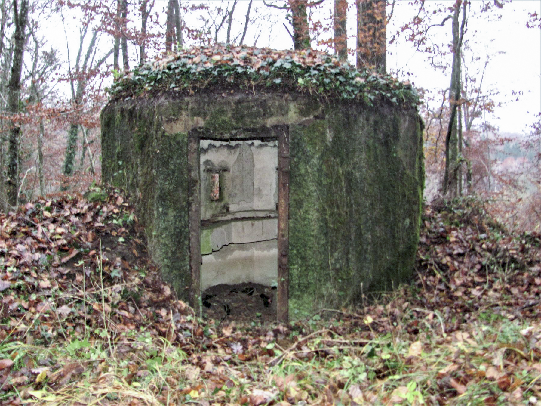 Ligne Maginot - FM18 - ROUTE DE LA VERRERIE 3 - (Blockhaus pour arme infanterie) - L'entrée - Baptiste GAUDIN