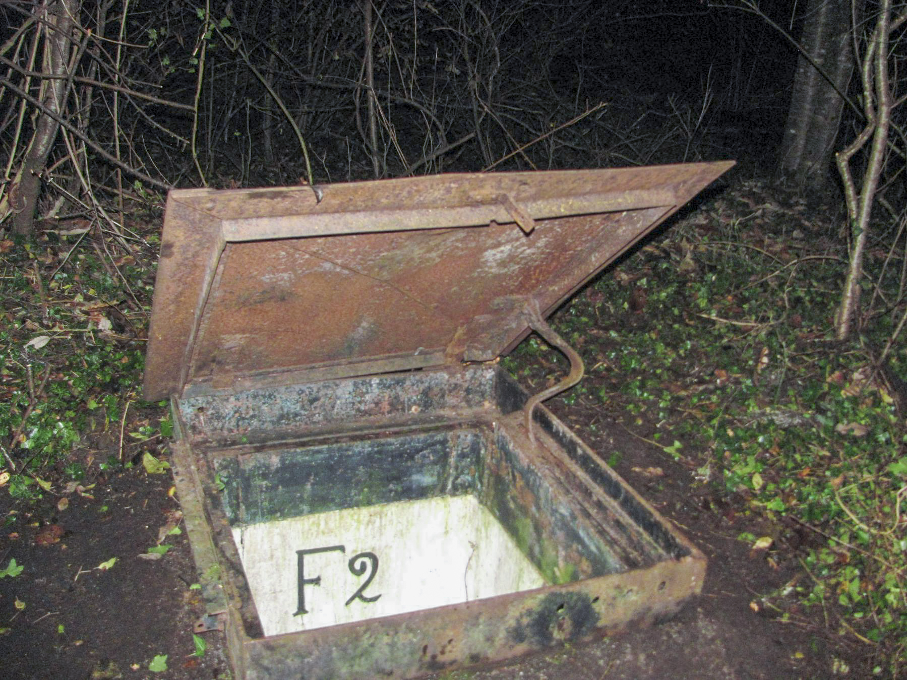 Ligne Maginot - F2 - (Chambre de coupure - Avec central) - L'entrée du puits - Baptiste GAUDIN