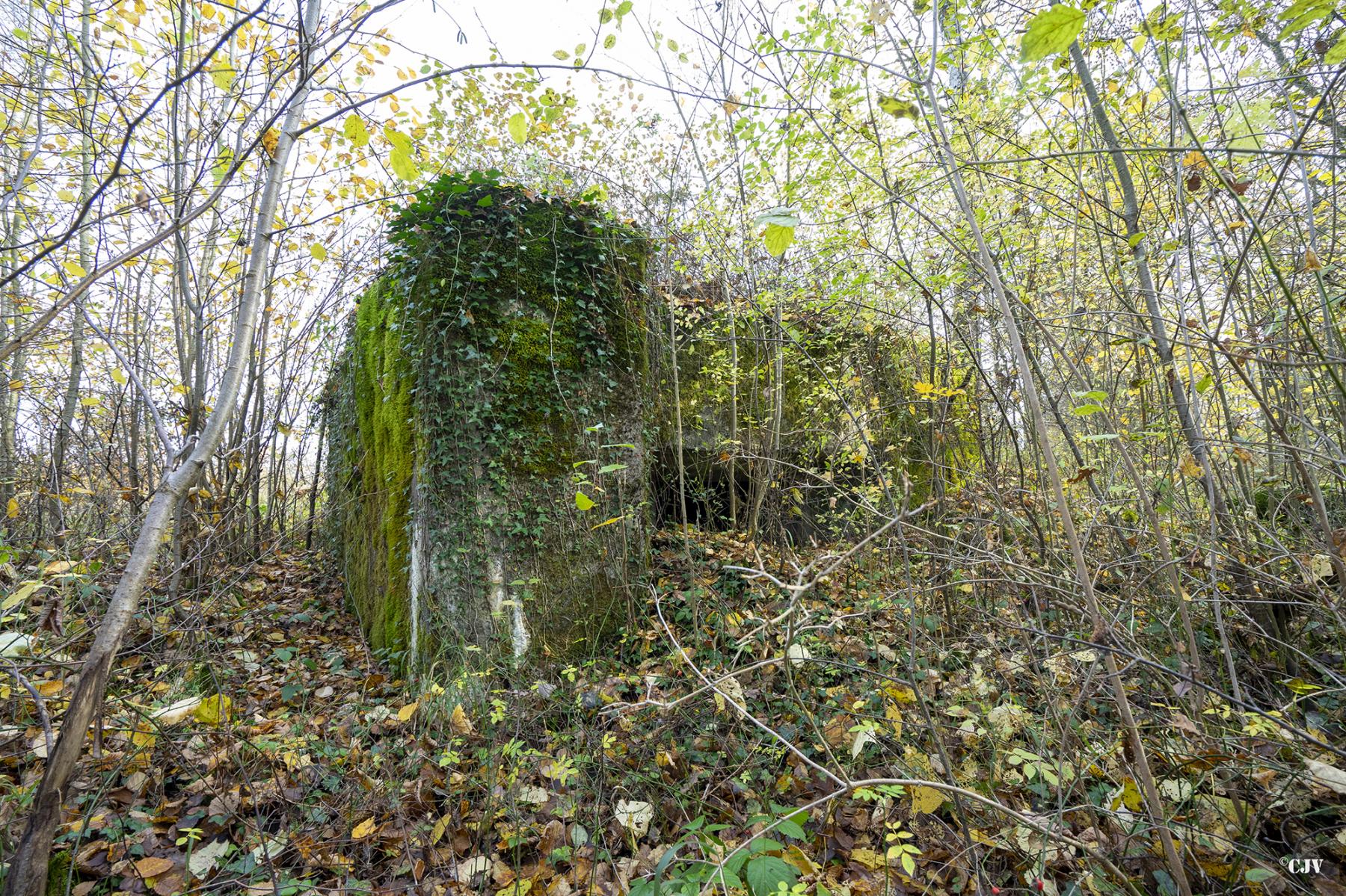 Ligne Maginot - CB174 - (Blockhaus pour canon) - Le créneau est à peine visible - Lia VERMEULEN