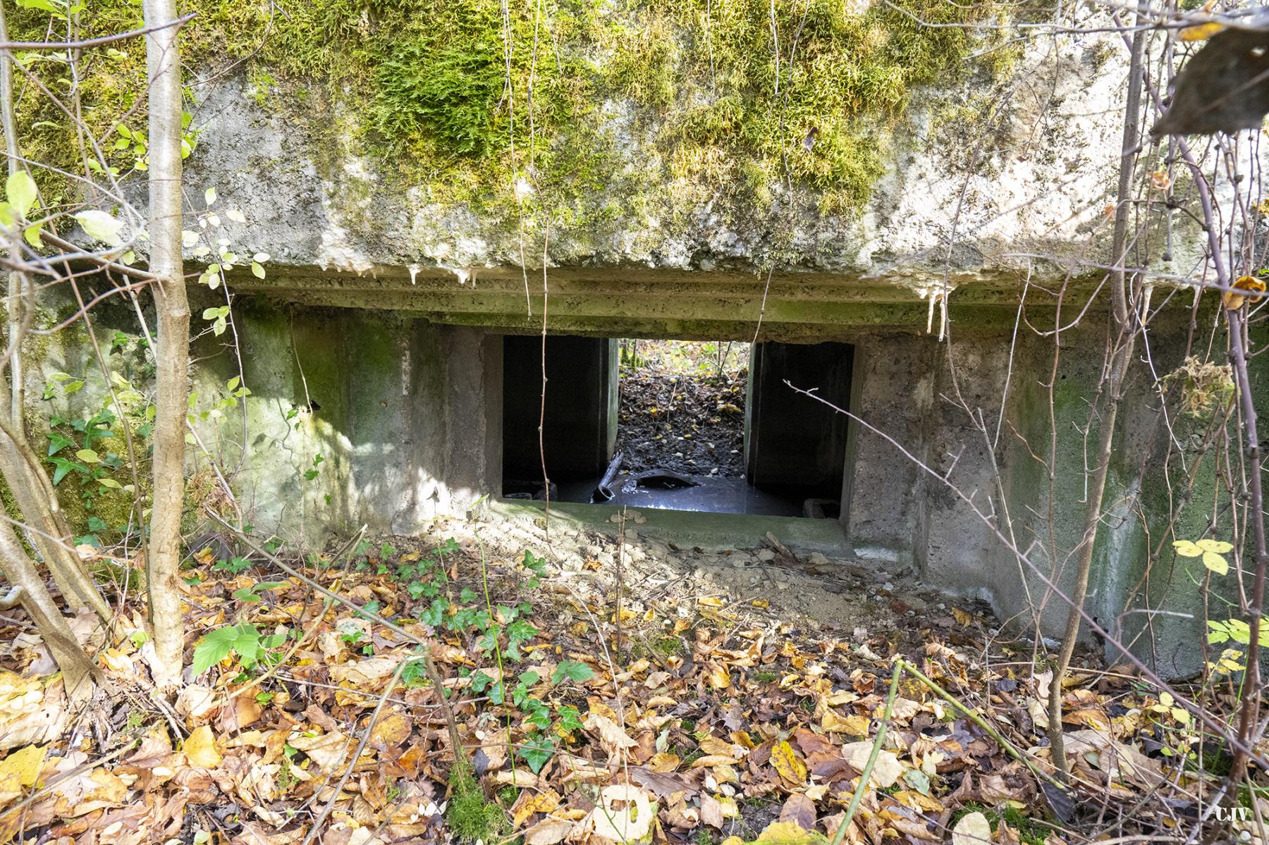 Ligne Maginot - CB174 - (Blockhaus pour canon) - Le créneau - Lia VERMEULEN