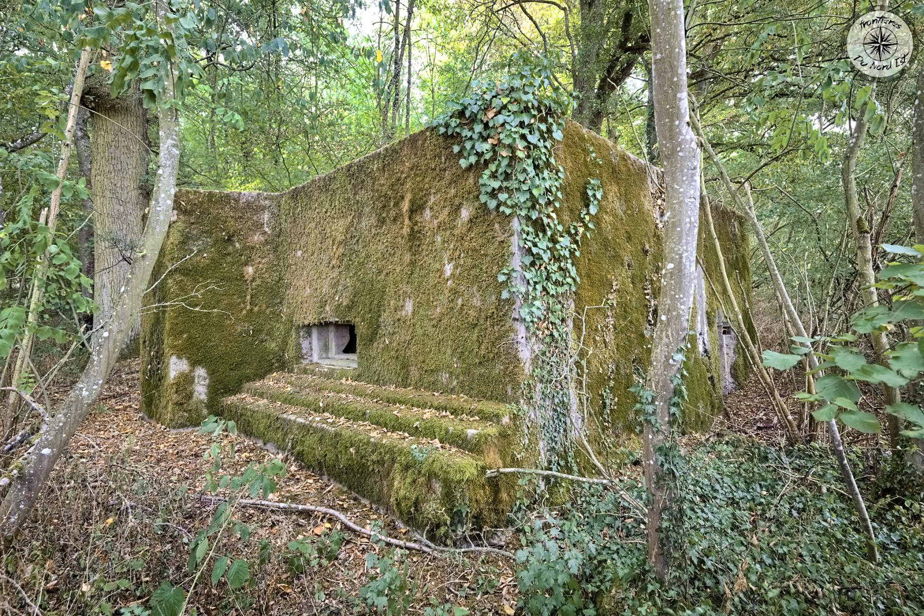Ligne Maginot - CB272 - GENFER 2 - (Blockhaus pour canon) -  - Thierry Caland
