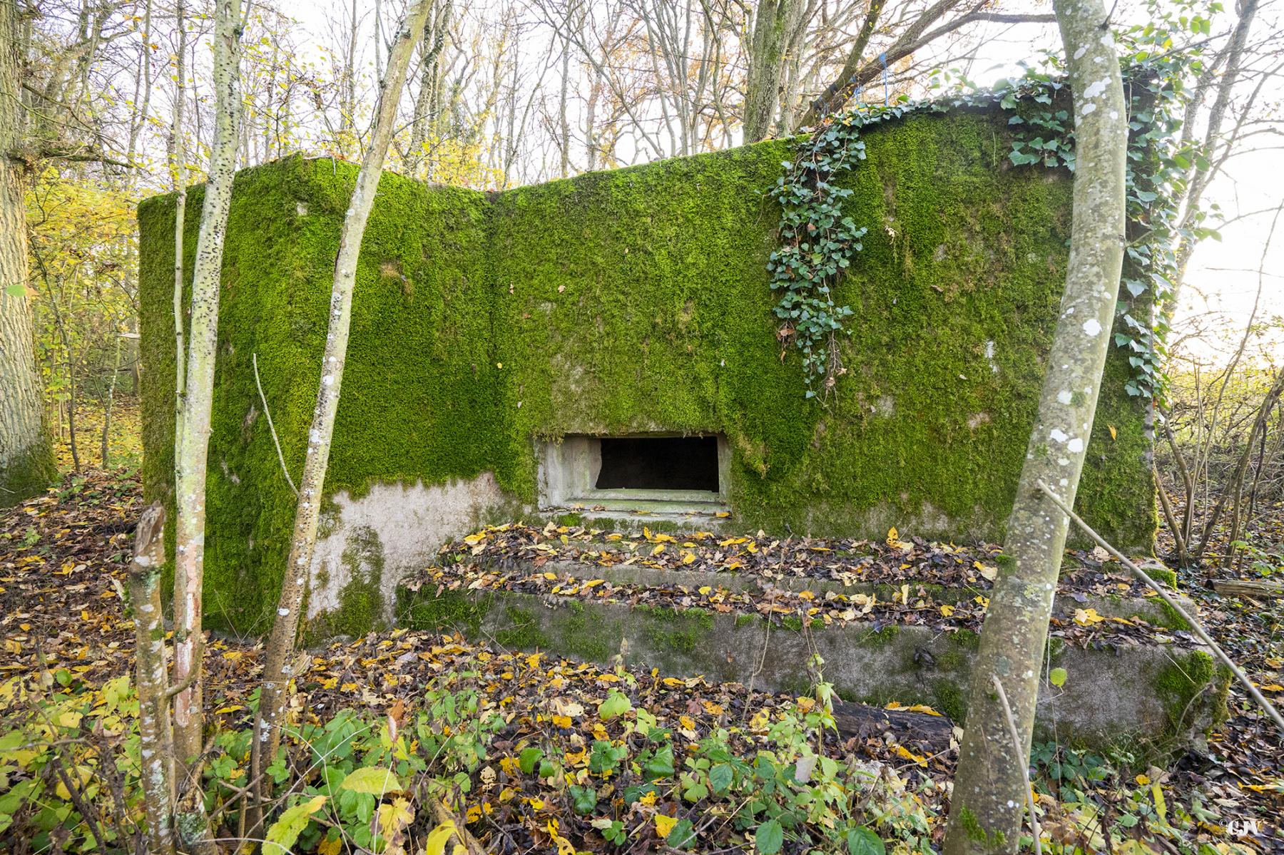 Ligne Maginot - CB272 - GENFER 2 - (Blockhaus pour canon) -  - Lia VERMEULEN