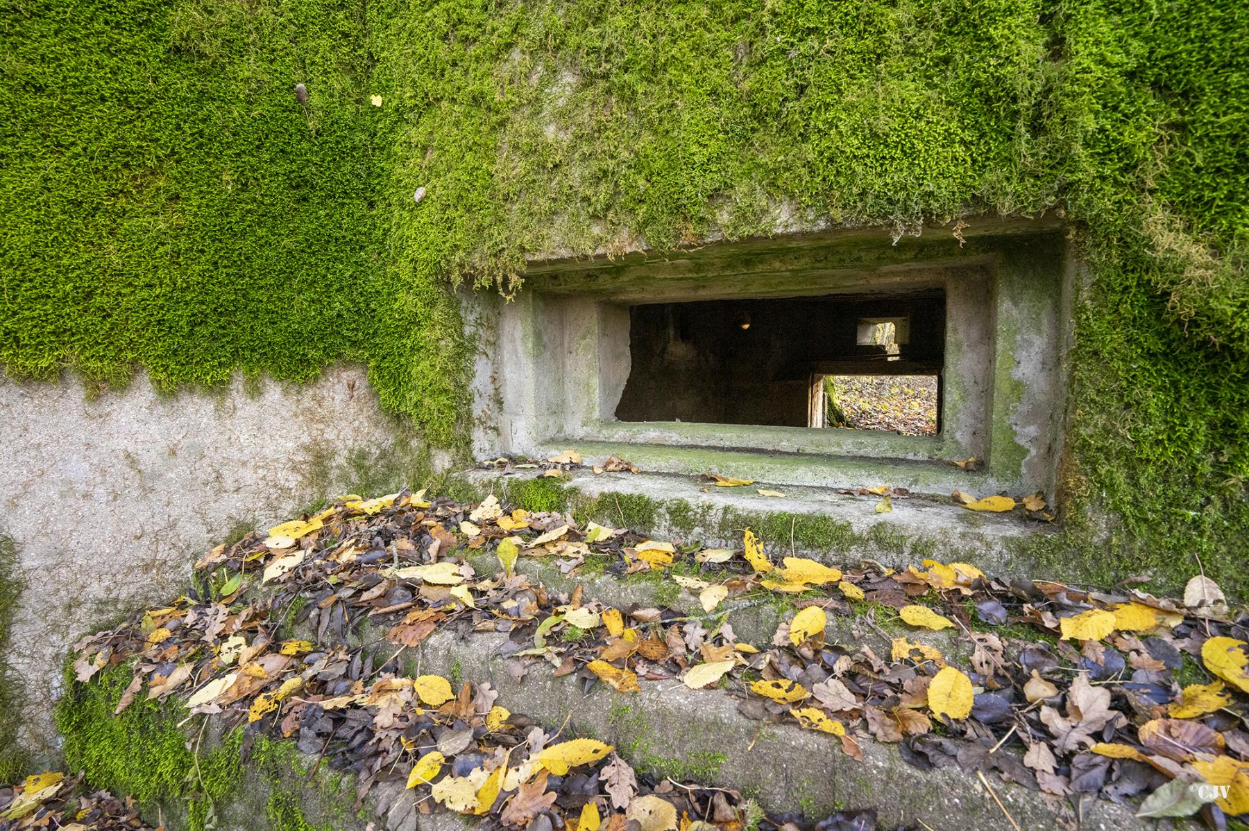 Ligne Maginot - CB272 - GENFER 2 - (Blockhaus pour canon) -  - Lia VERMEULEN