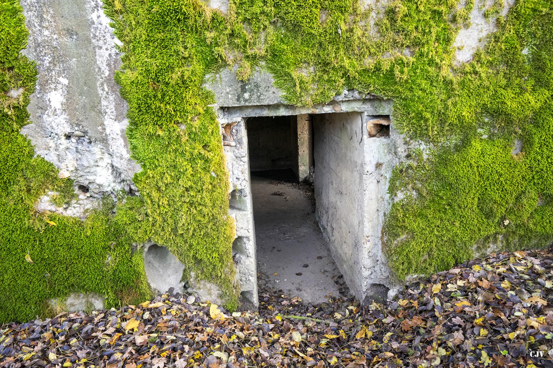 Ligne Maginot - CB272 - GENFER 2 - (Blockhaus pour canon) - L'entrée pour les hommes - Lia VERMEULEN