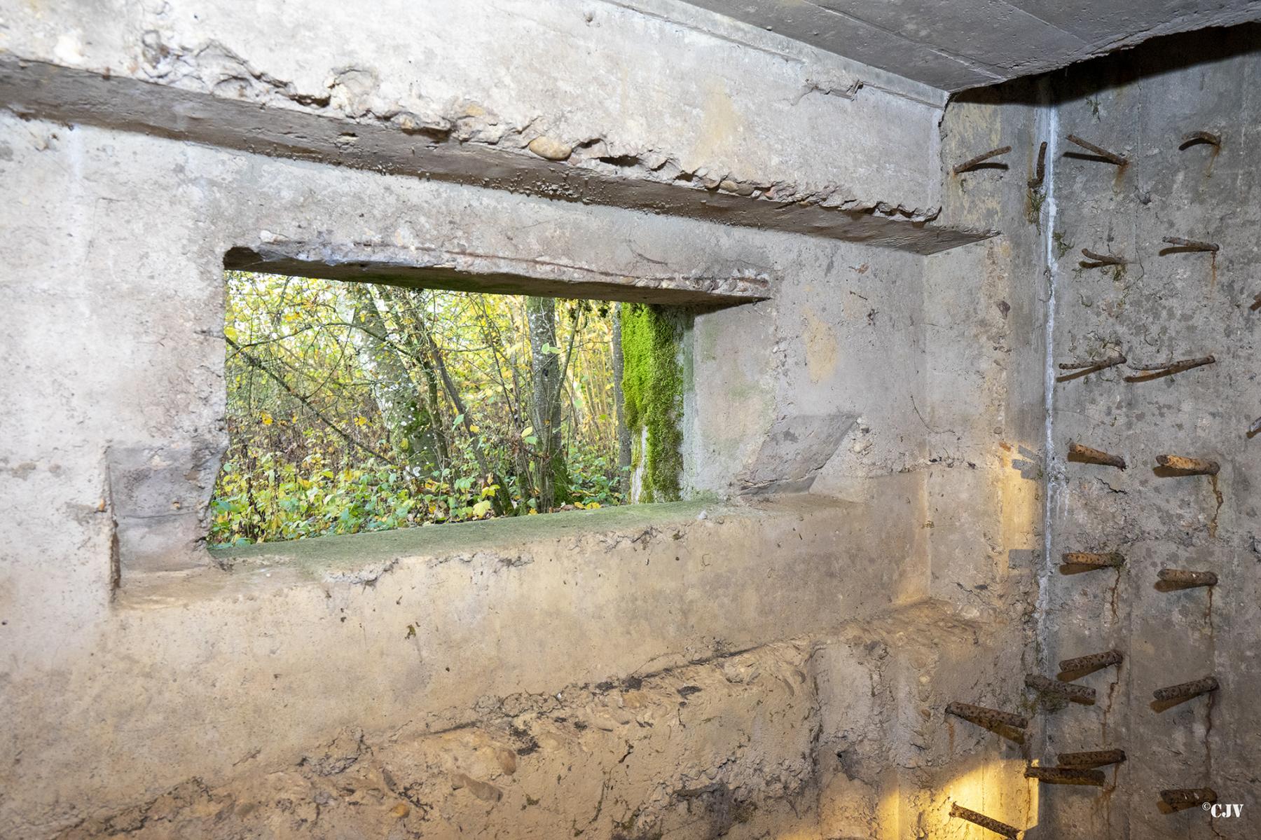 Ligne Maginot - CB272 - GENFER 2 - (Blockhaus pour canon) -  - Lia VERMEULEN