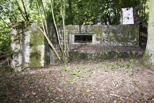 Ligne Maginot - CB273 - GENFER 1 - (Blockhaus pour canon) - Ce blockhaus n'a pas été achevé, contrairement à d'autres présents a proximité. - www.arnaultjl-photo.com