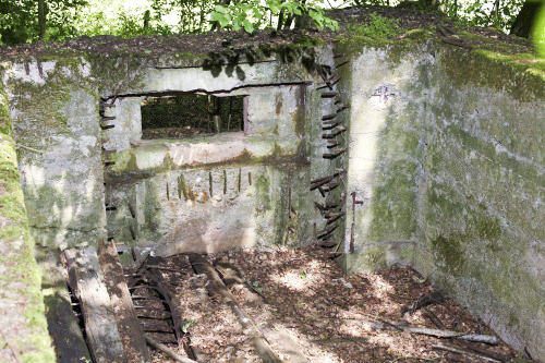 Ligne Maginot - CB273 - GENFER 1 - (Blockhaus pour canon) - Autre vue - www.arnaultjl-photo.com