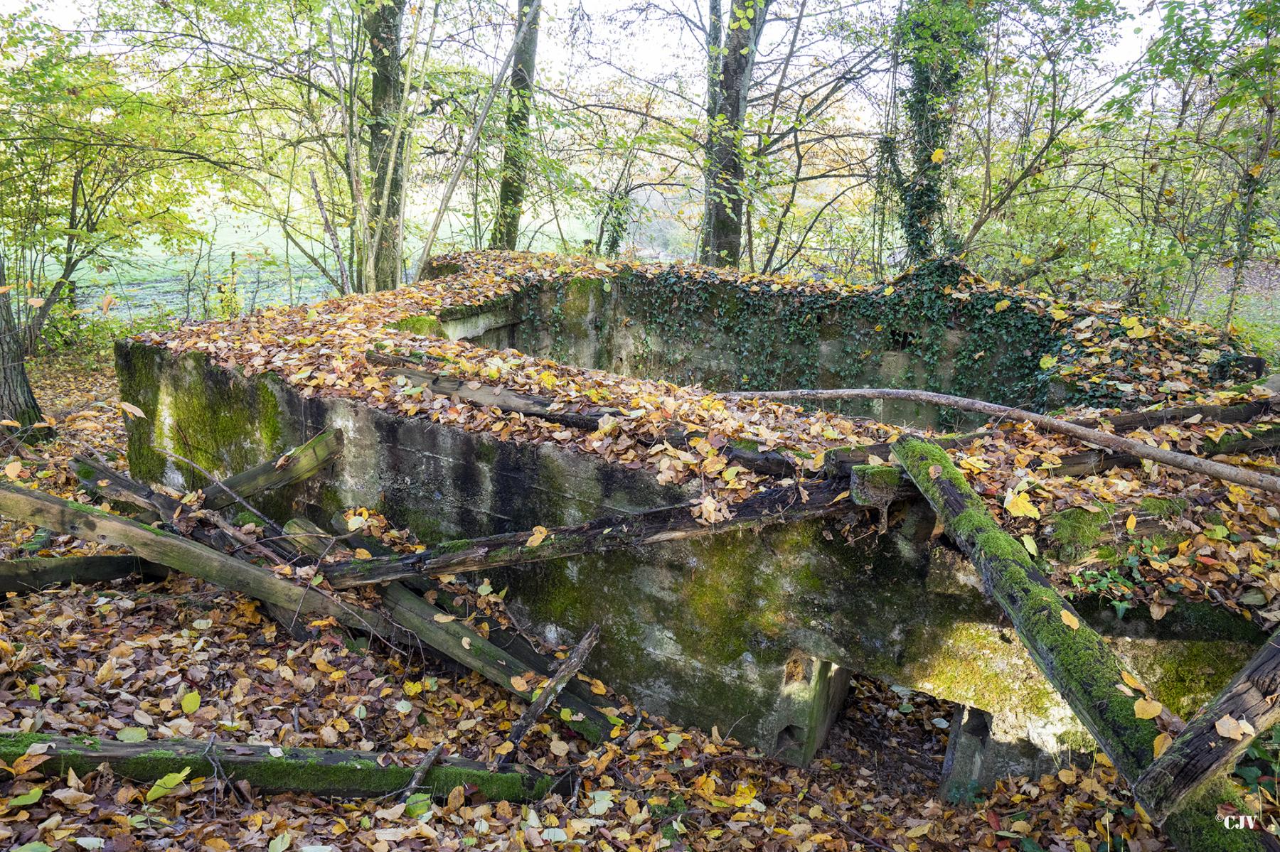 Ligne Maginot - CB273 - GENFER 1 - (Blockhaus pour canon) -  - Lia VERMEULEN