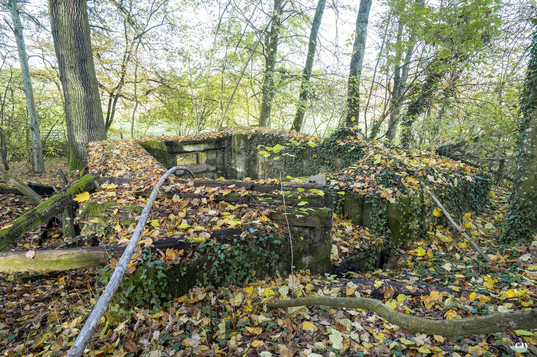 Ligne Maginot - CB273 - GENFER 1 - (Blockhaus pour canon) -  - Lia VERMEULEN