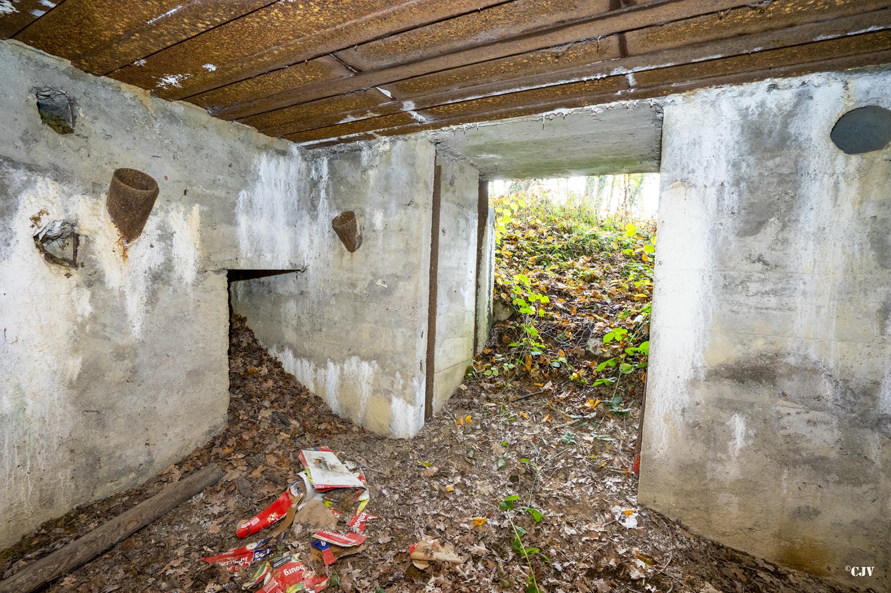 Ligne Maginot - CB274 - SAINTE MARIE 2 - (Blockhaus pour canon) -  - Lia VERMEULEN