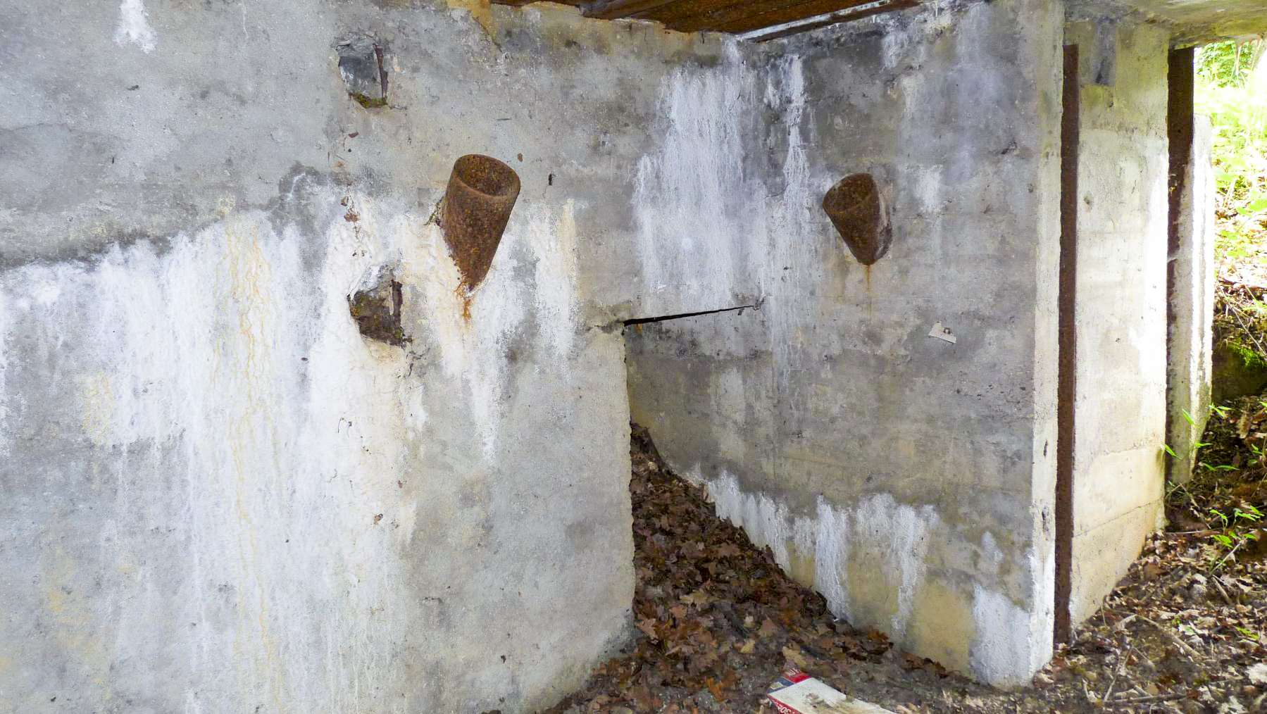 Ligne Maginot - CB274 - SAINTE MARIE 2 - (Blockhaus pour canon) -  - Sylvie Laure LAMBERT